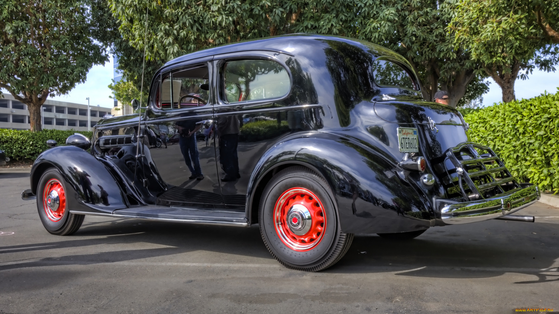1936, packard, 120, touring, coupe, автомобили, выставки, и, уличные, фото, автошоу, выставка