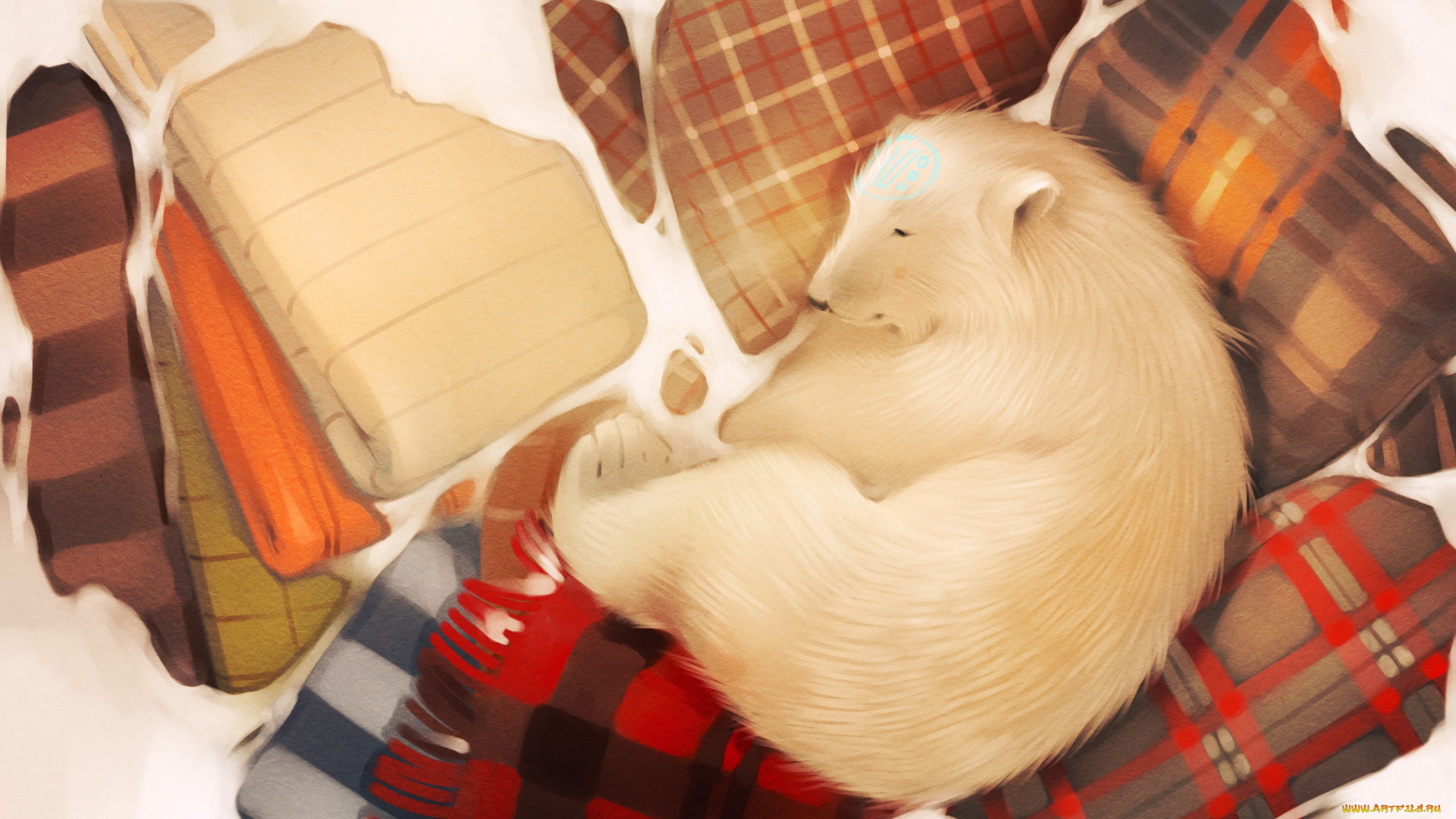 рисованное, животные, , медведи, медведь, сон, спит, одеяло