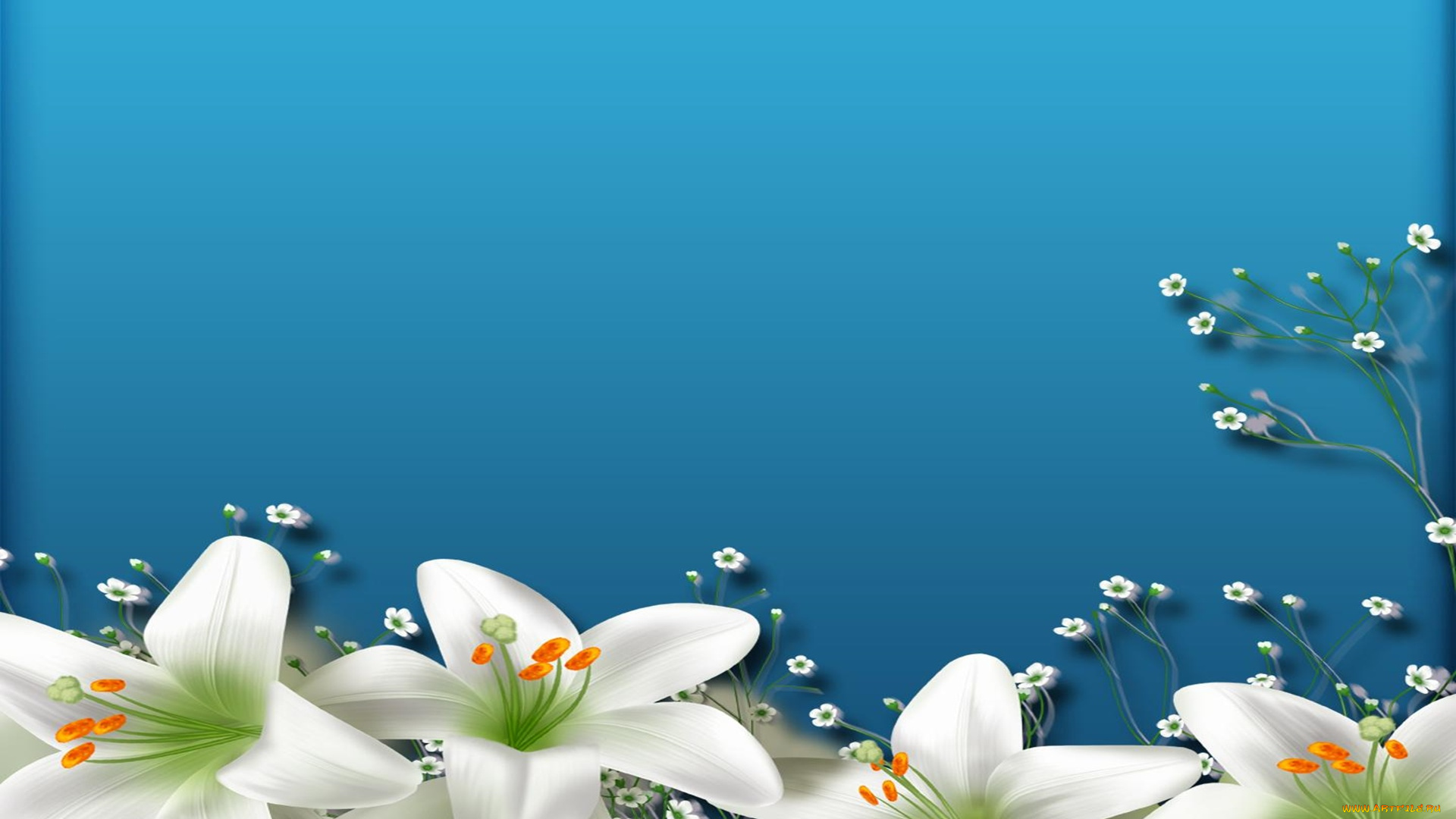 векторная, графика, цветы, синий