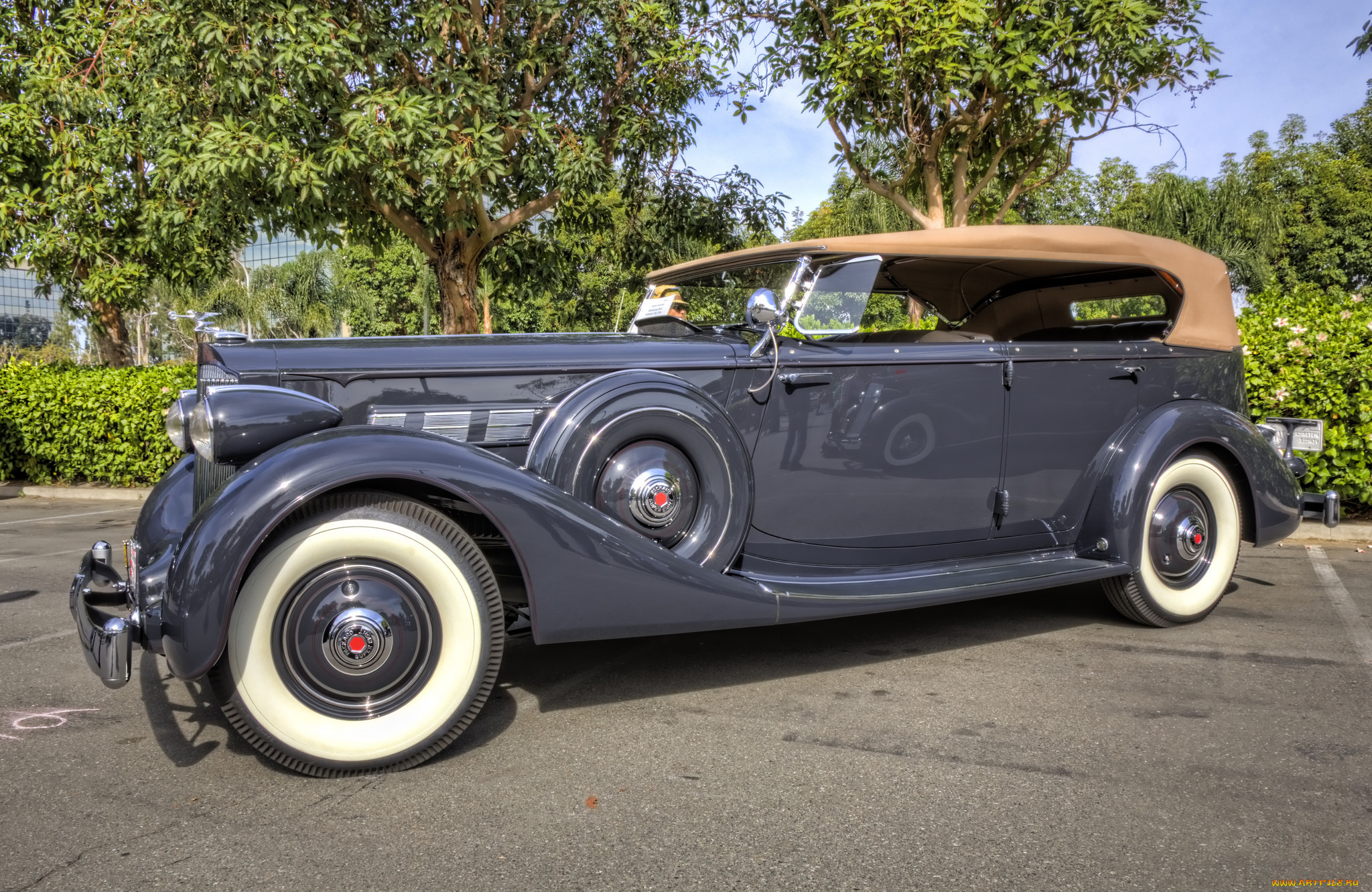1935, packard, 1204, dietrich, 5-passenger, phaeton, автомобили, выставки, и, уличные, фото, автошоу, выставка