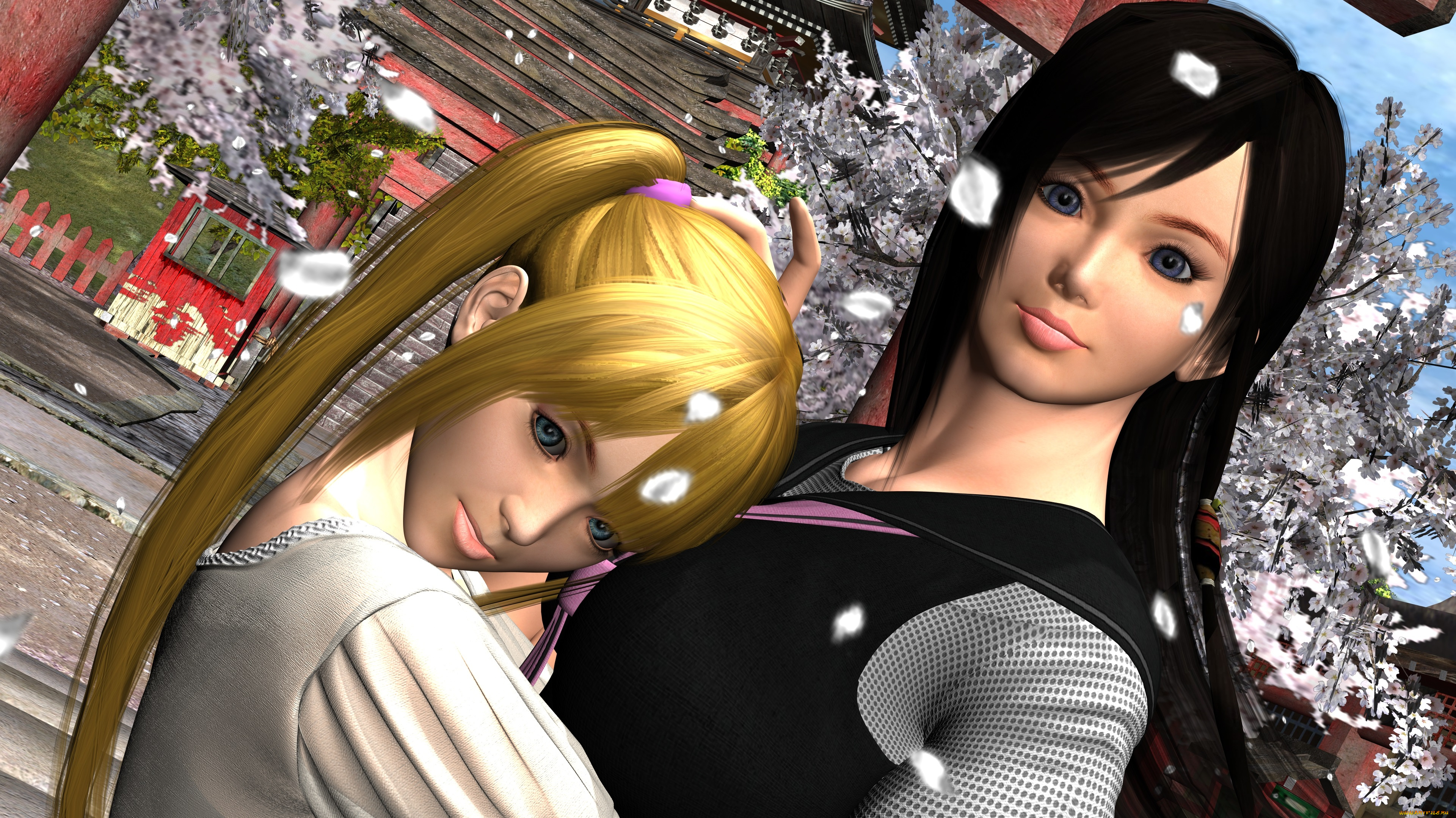 3д, графика, аниме, , anime, лепестки, фон, взгляд, девушки