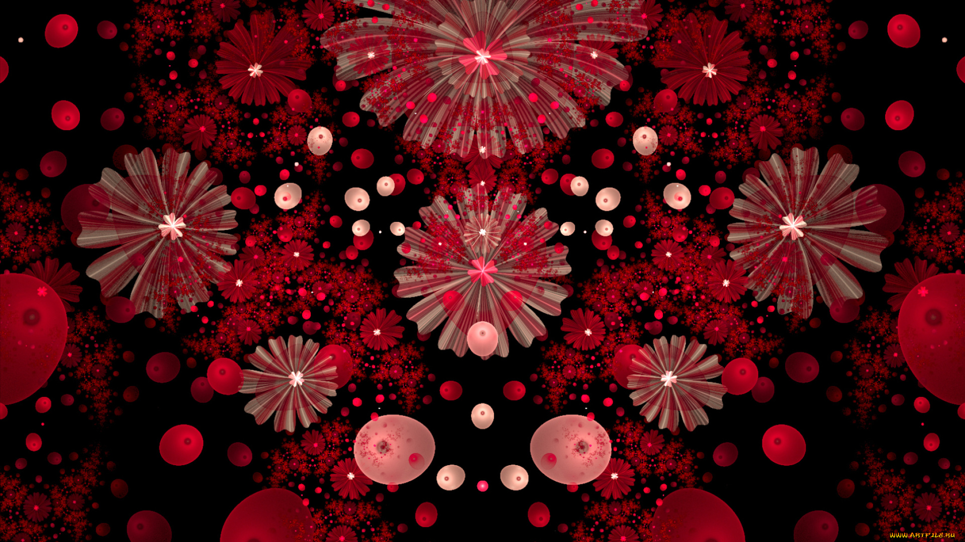 3д, графика, цветы, , flowers, красные, цветы