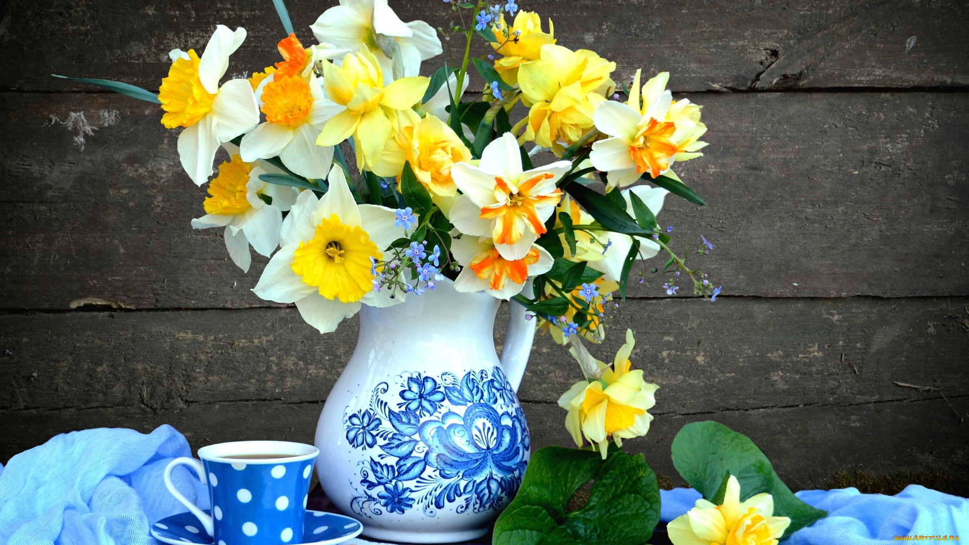 цветы, нарциссы, чашка, кувшин, букет, натюрморт