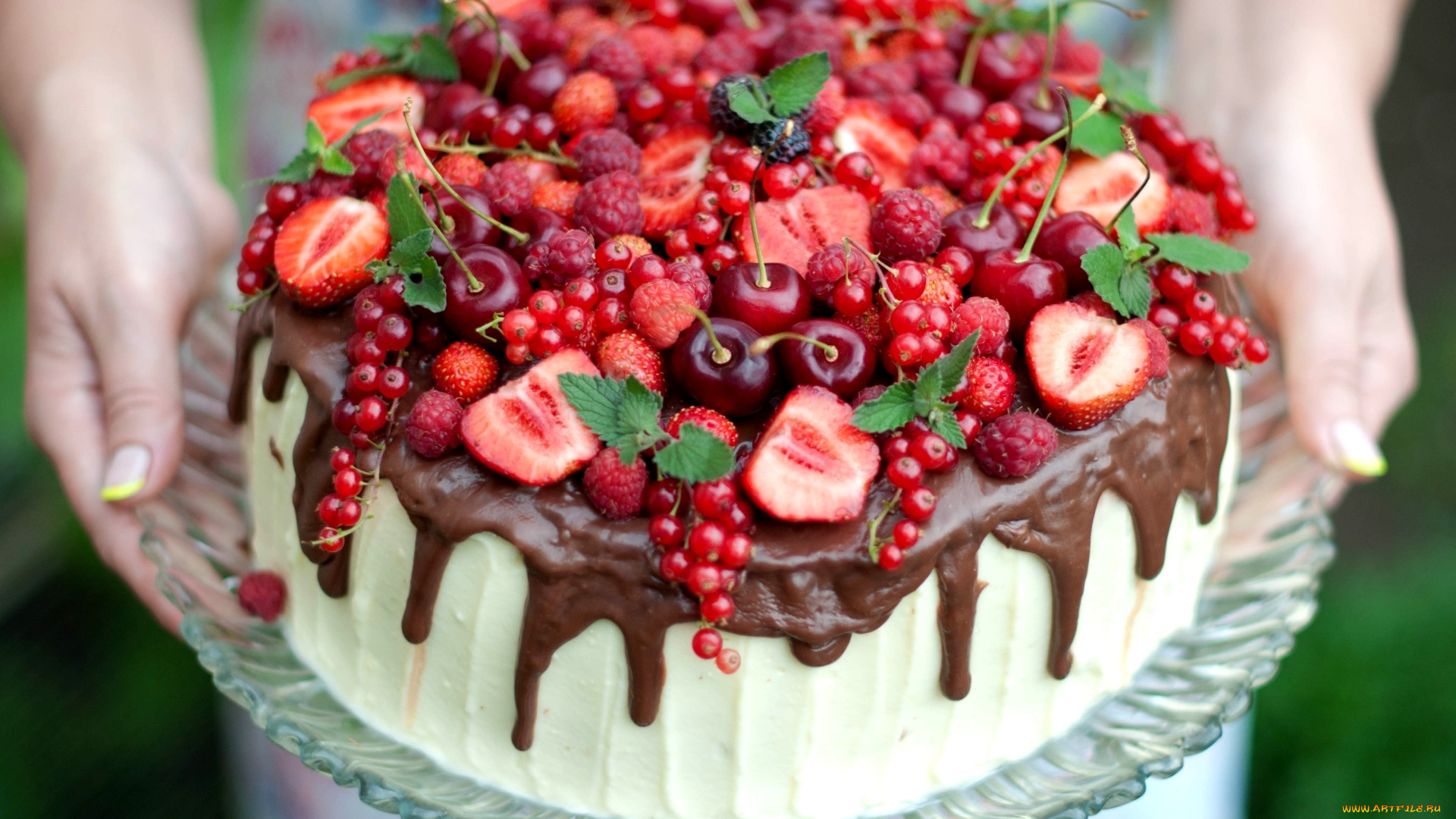 еда, торты, смородина, малина, клубника, шоколад, мята, ягоды, вишня, торт