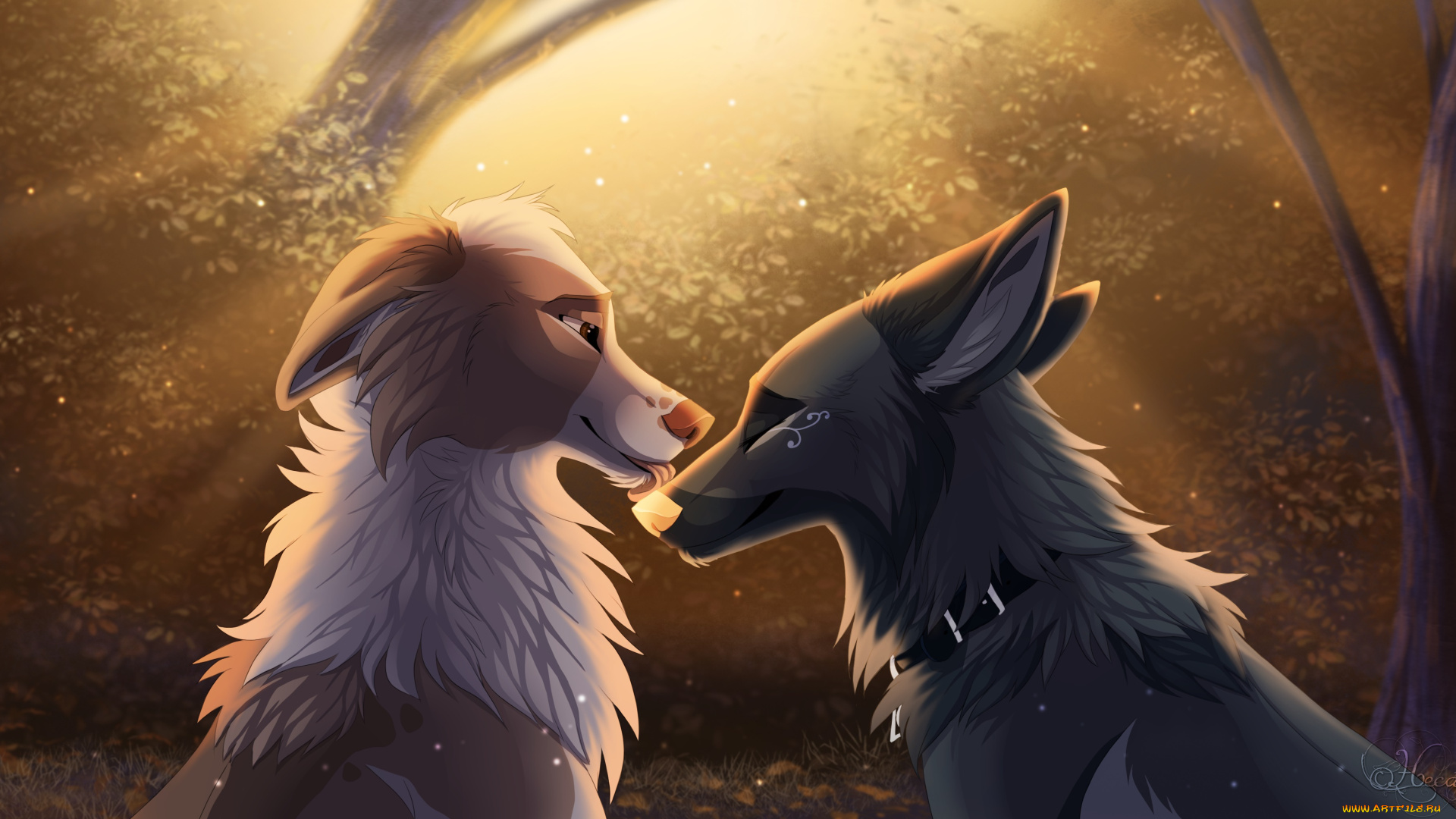 векторная, графика, животные, , animals, лес, фон, взгляд, собаки