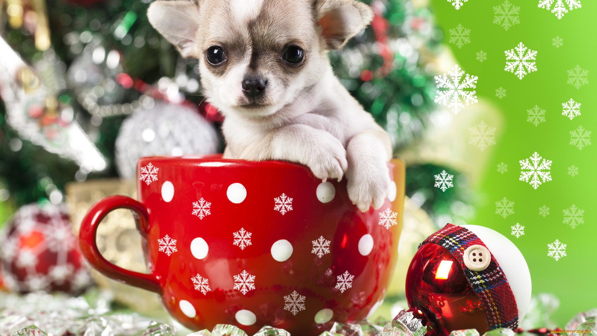 животные, собаки, Чихуахуа, игрушка, снежинки, кружка, украшения, шарик, пёсик, щенок, собака