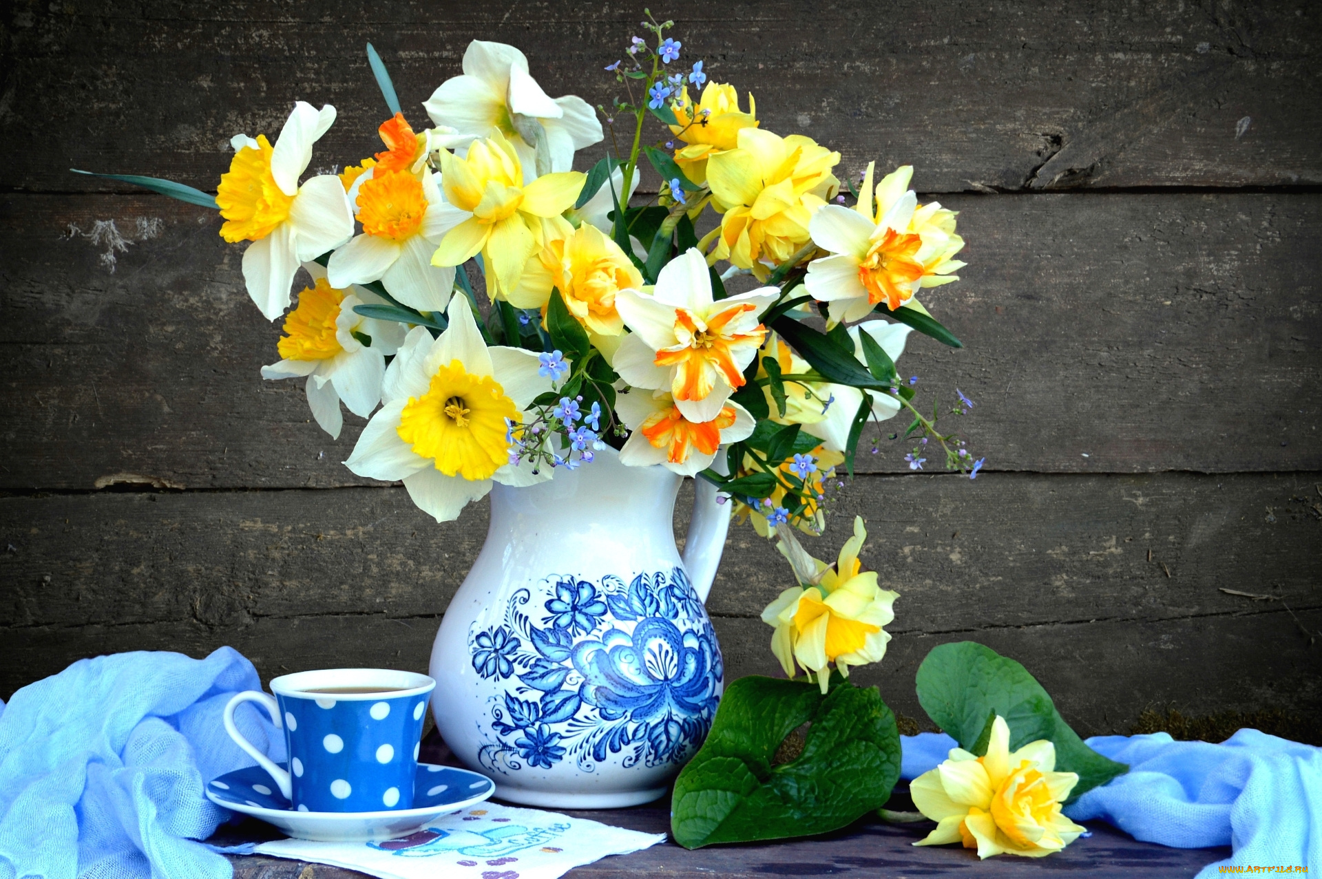 цветы, нарциссы, чашка, кувшин, букет, натюрморт