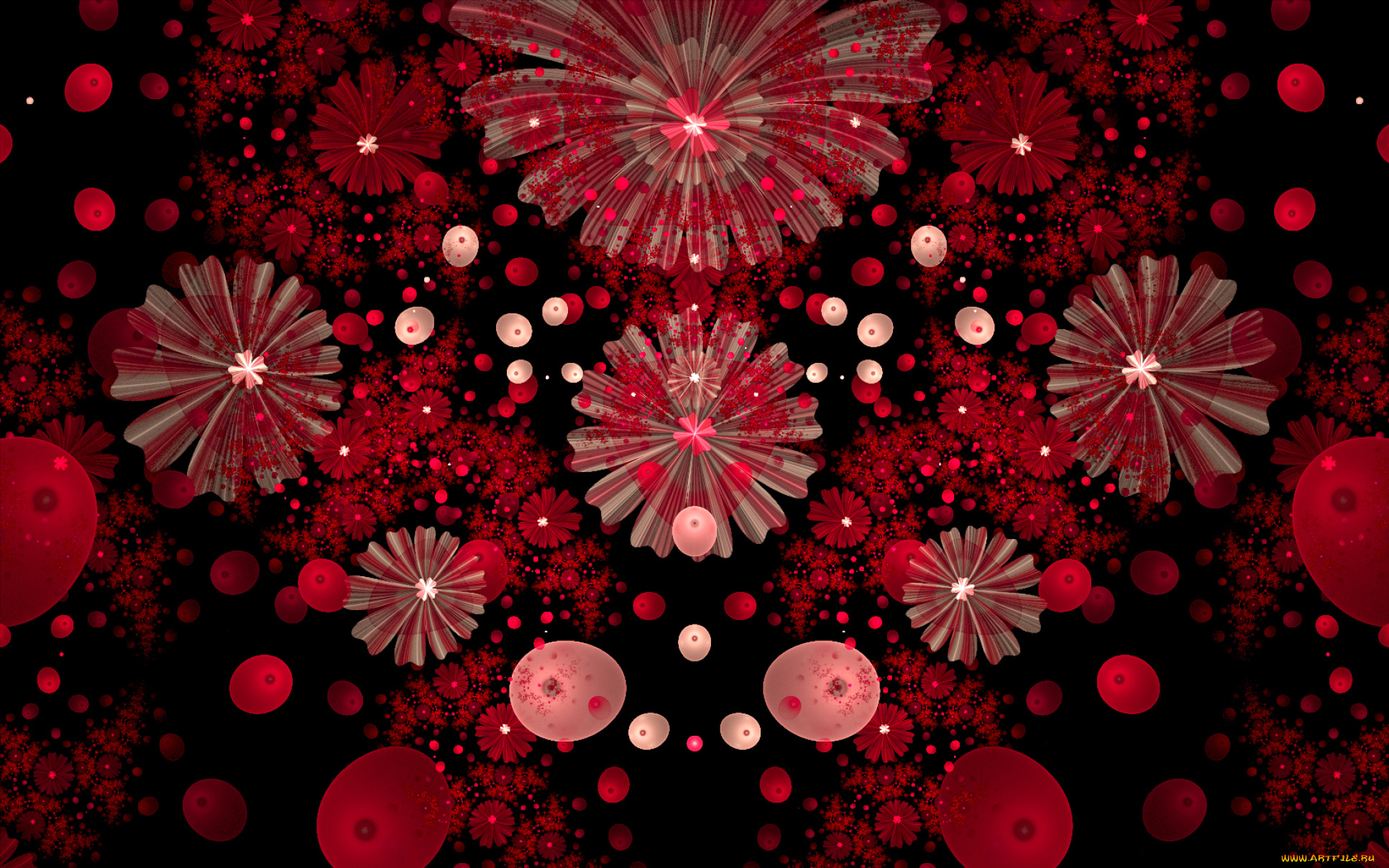 3д, графика, цветы, , flowers, красные, цветы