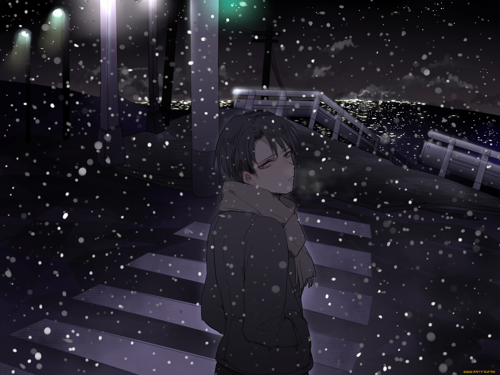 аниме, shingeki, no, kyojin, ночь, зебра, дорога, зима, снег, город, атака, титанов, леви