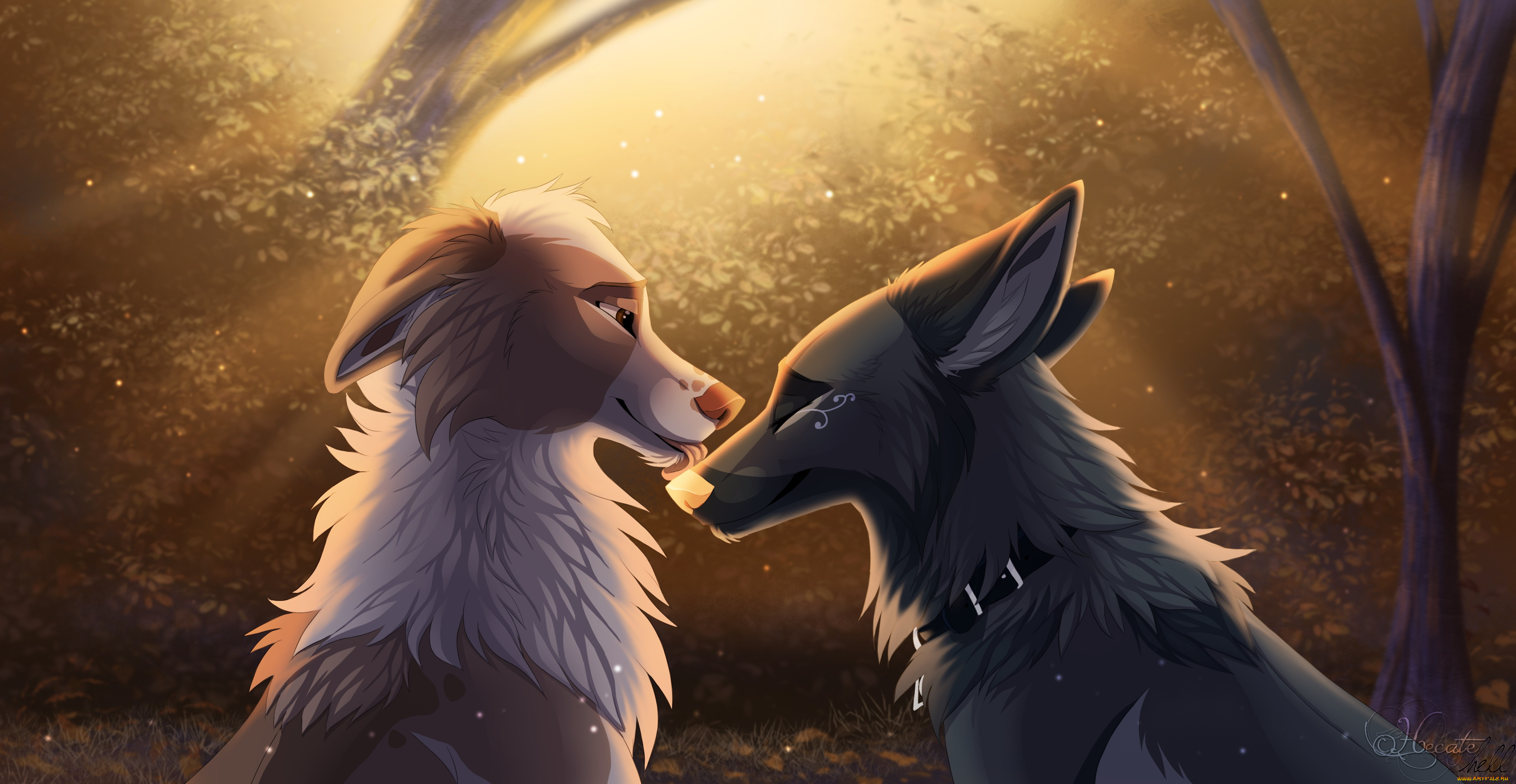 векторная, графика, животные, , animals, лес, фон, взгляд, собаки