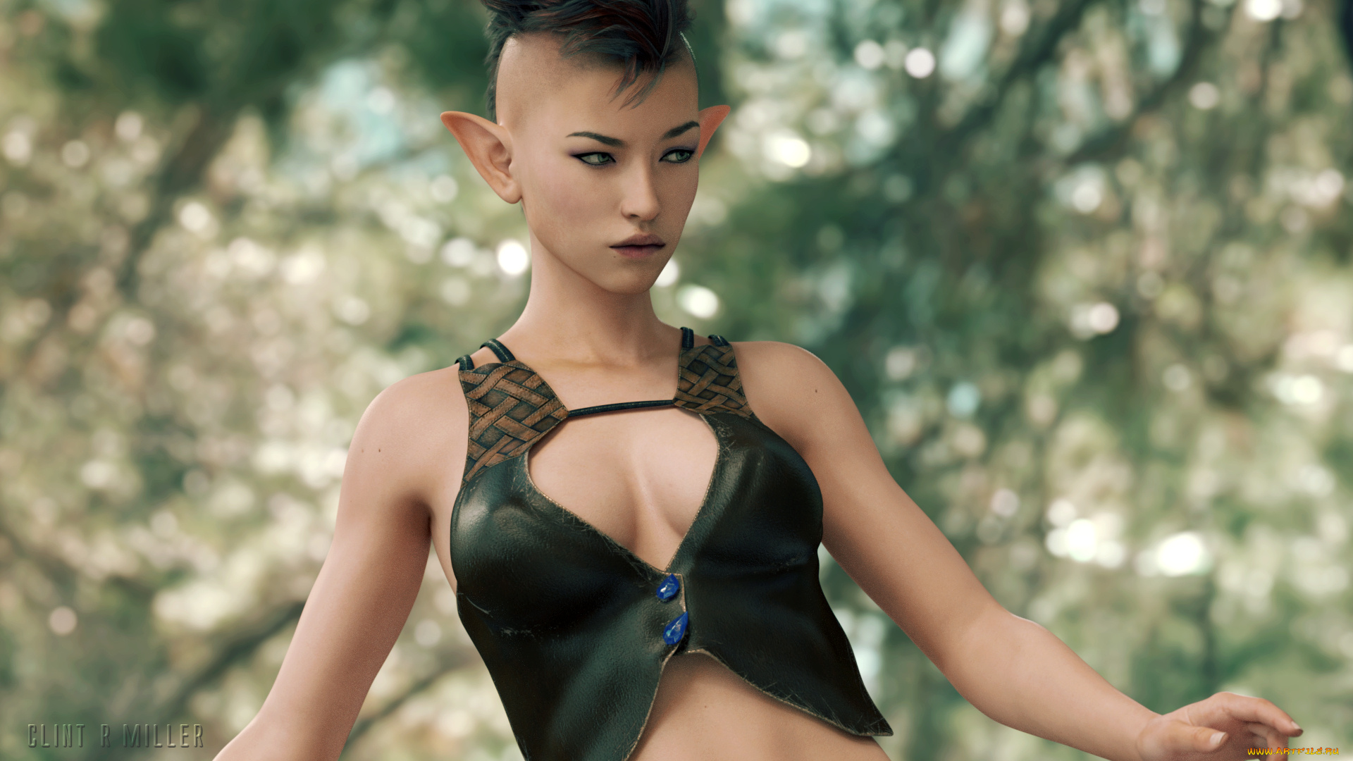 3д, графика, эльфы, , elves, эльфийка, фон, взгляд