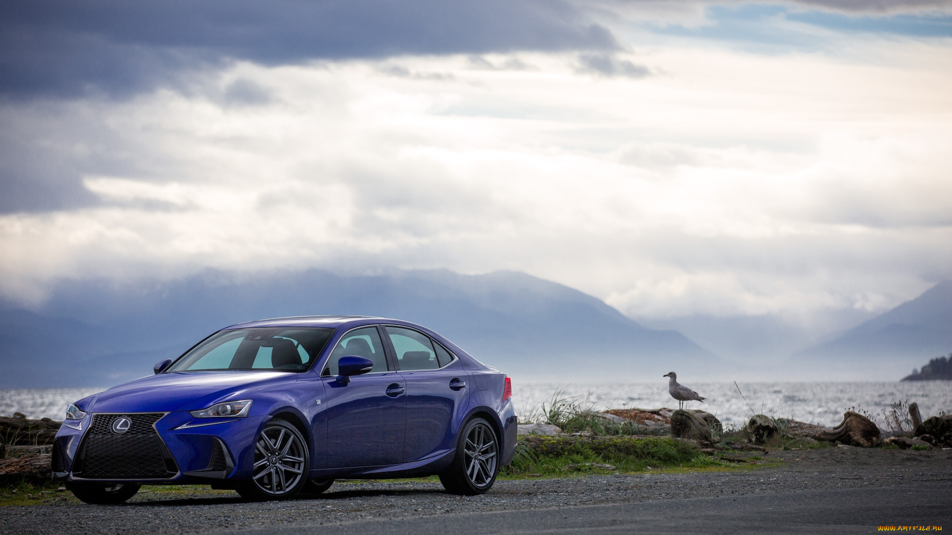автомобили, lexus