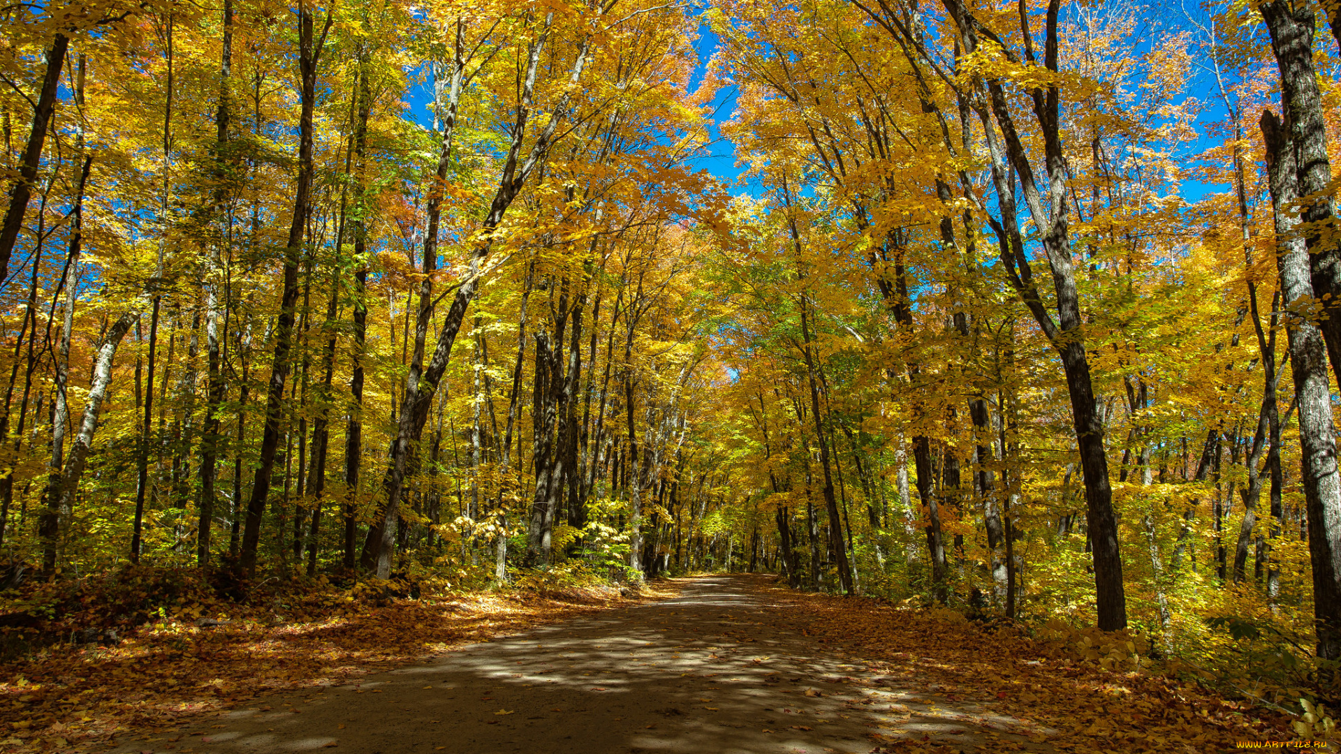 природа, дороги, тракт