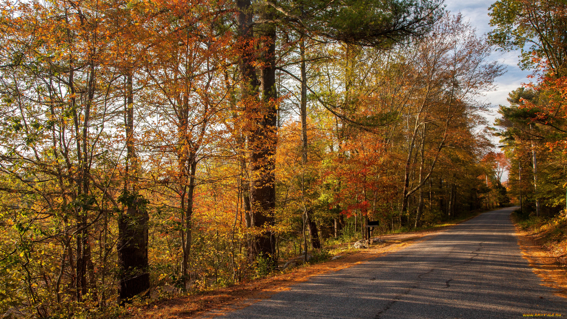 природа, дороги, тракт