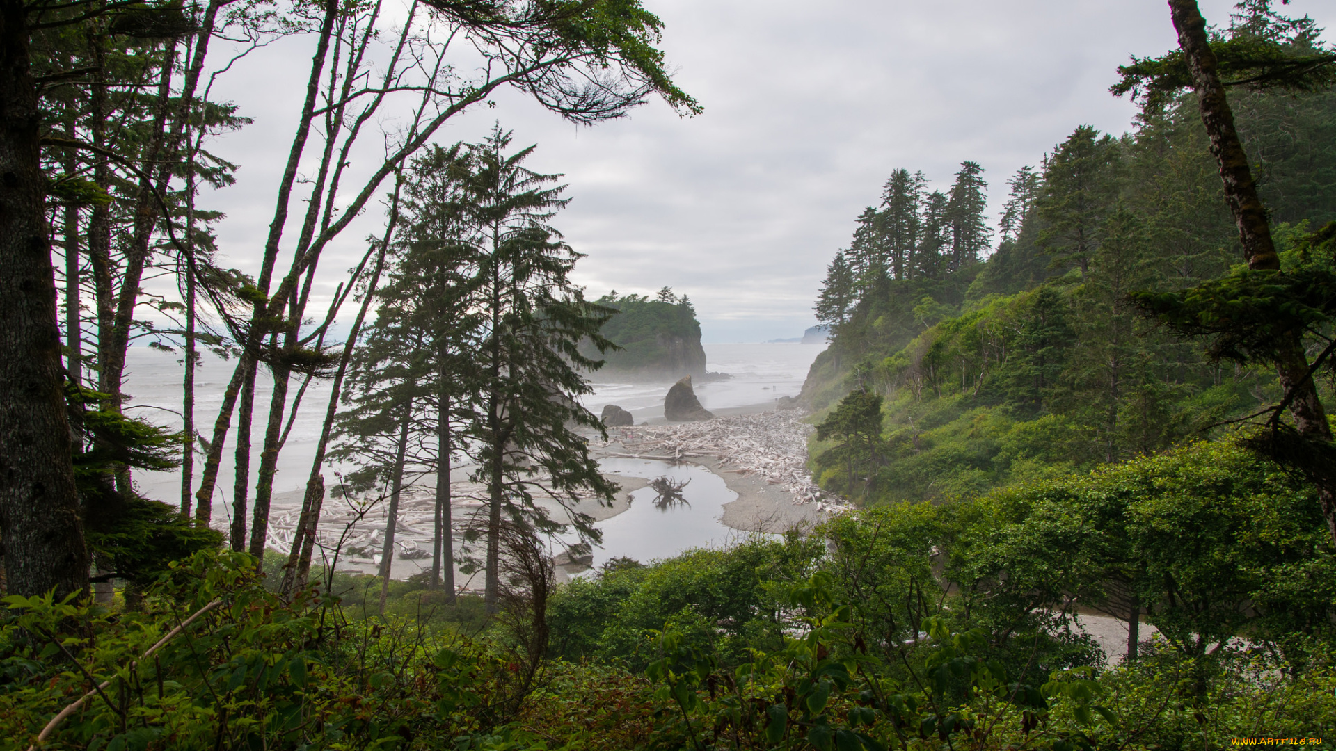 природа, побережье, море, берег