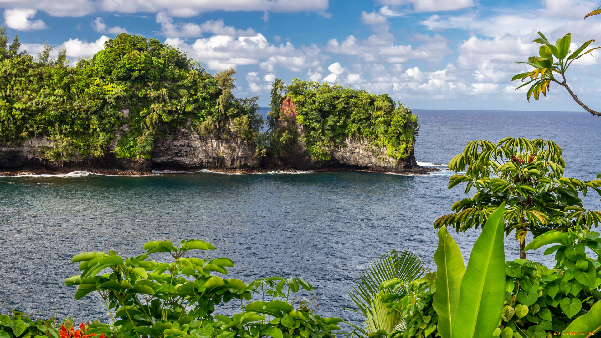 природа, побережье, море, берег