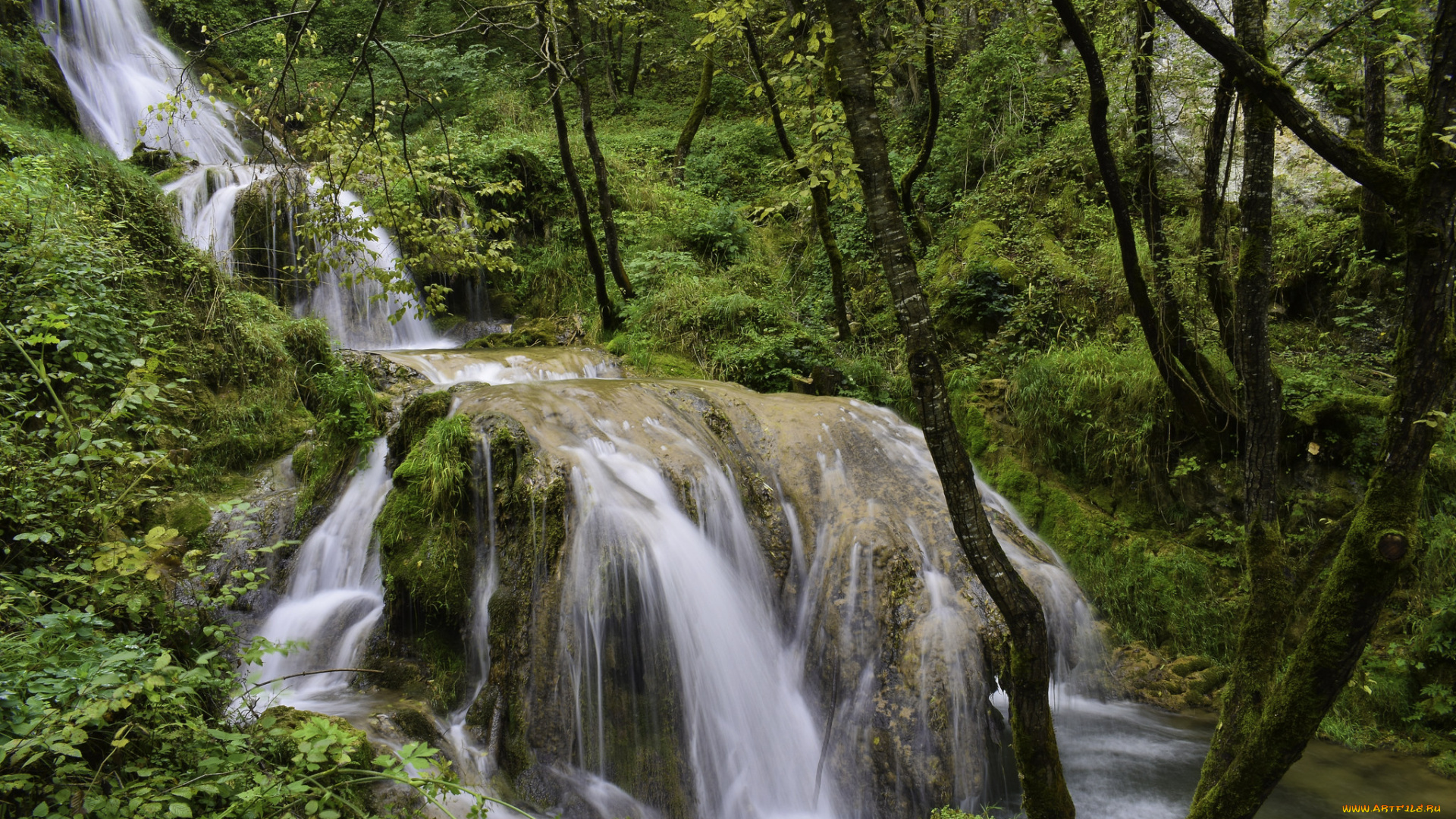 природа, водопады, водопад, лес, река