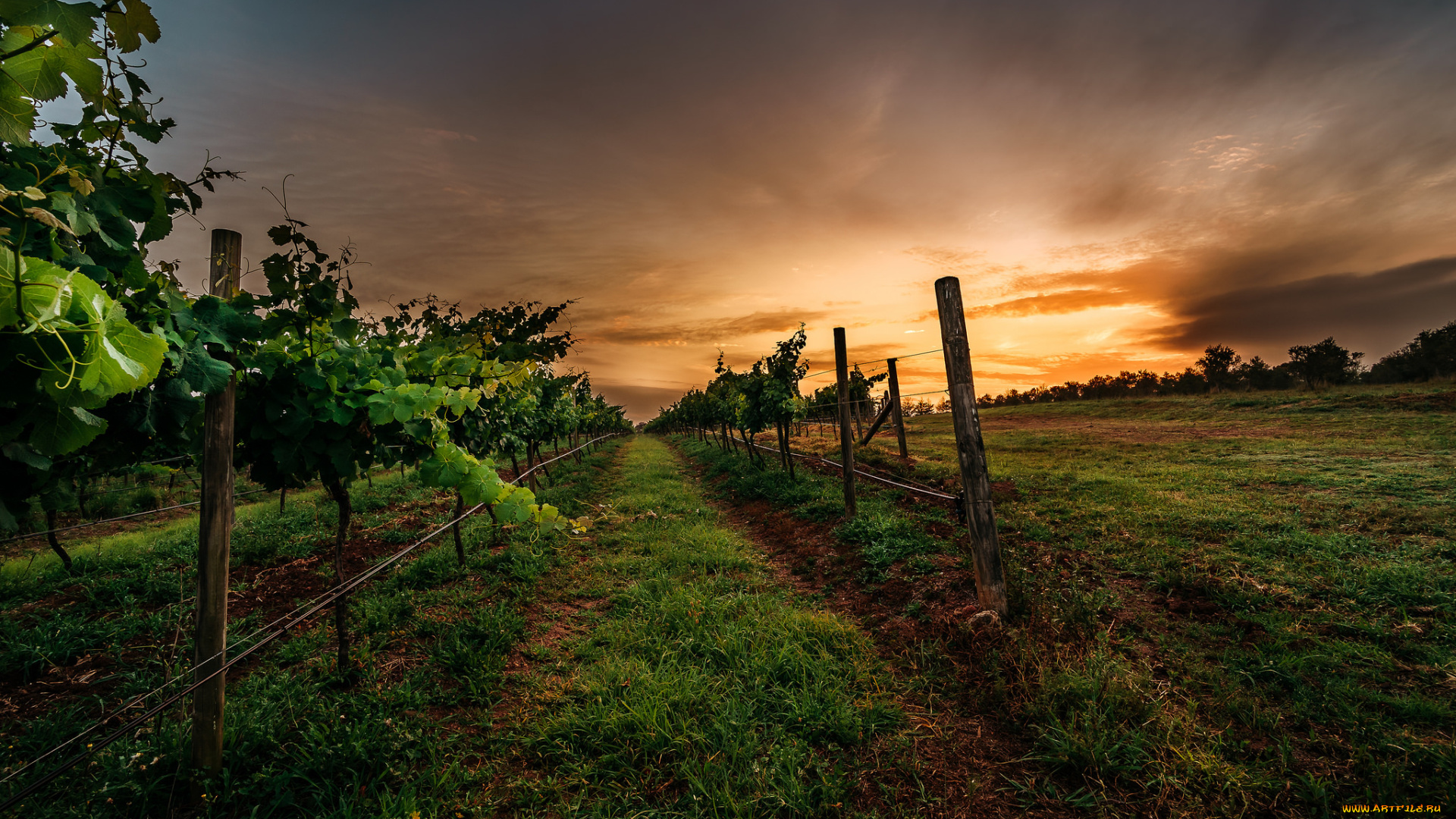 природа, восходы, закаты, рассвет