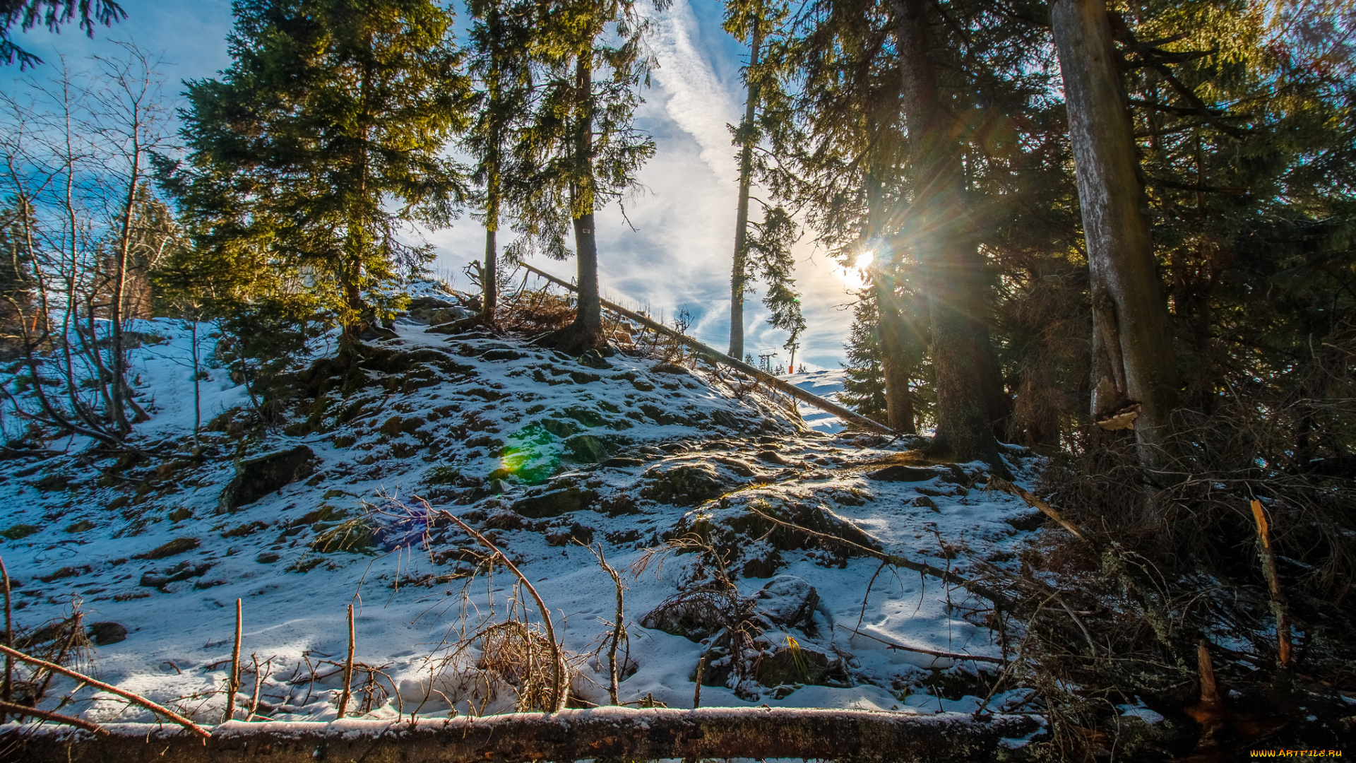 природа, зима, снег