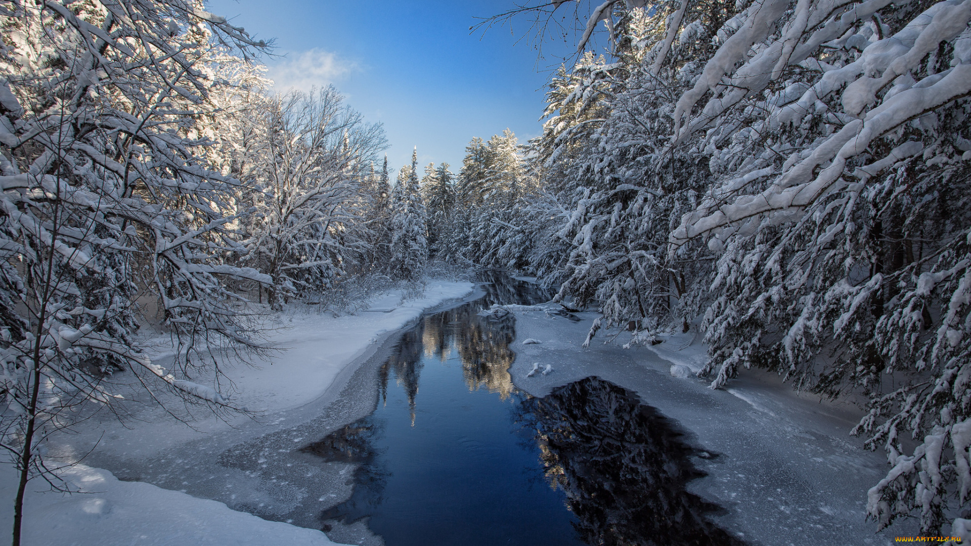 природа, зима, снег