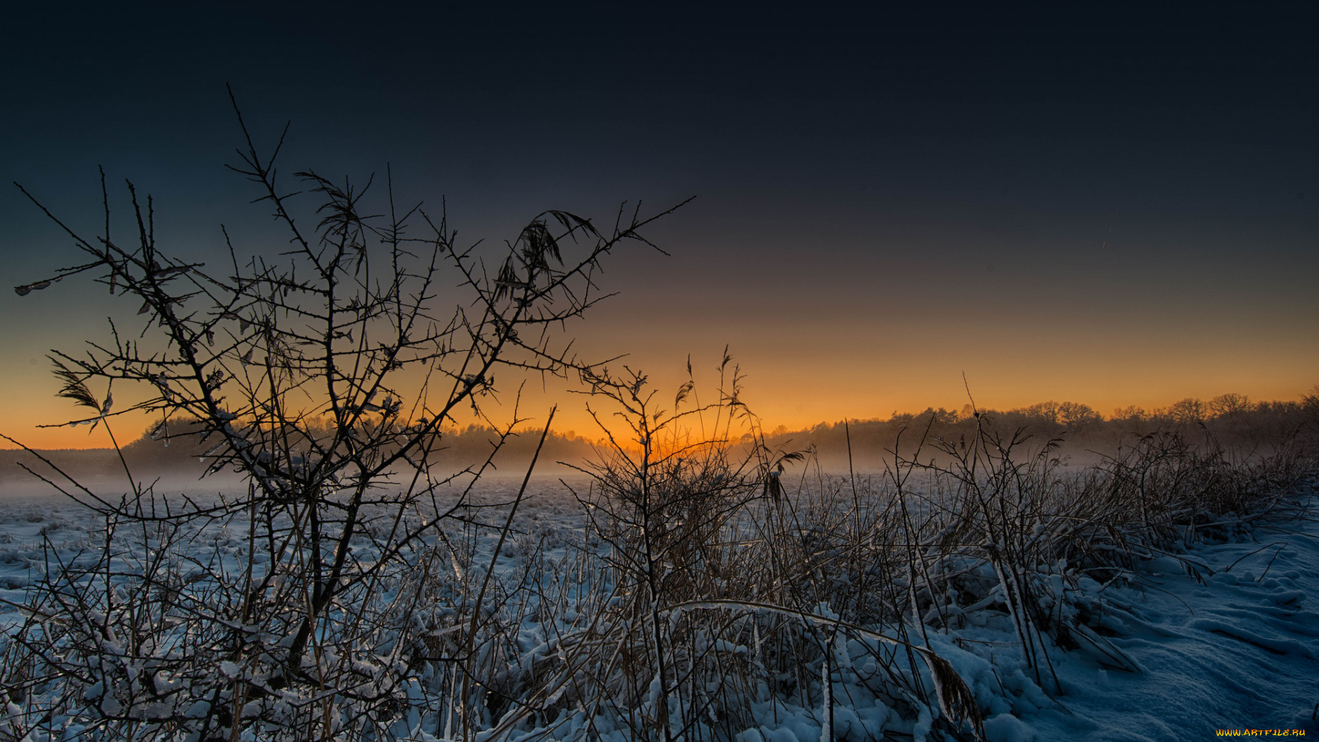 природа, зима, снег