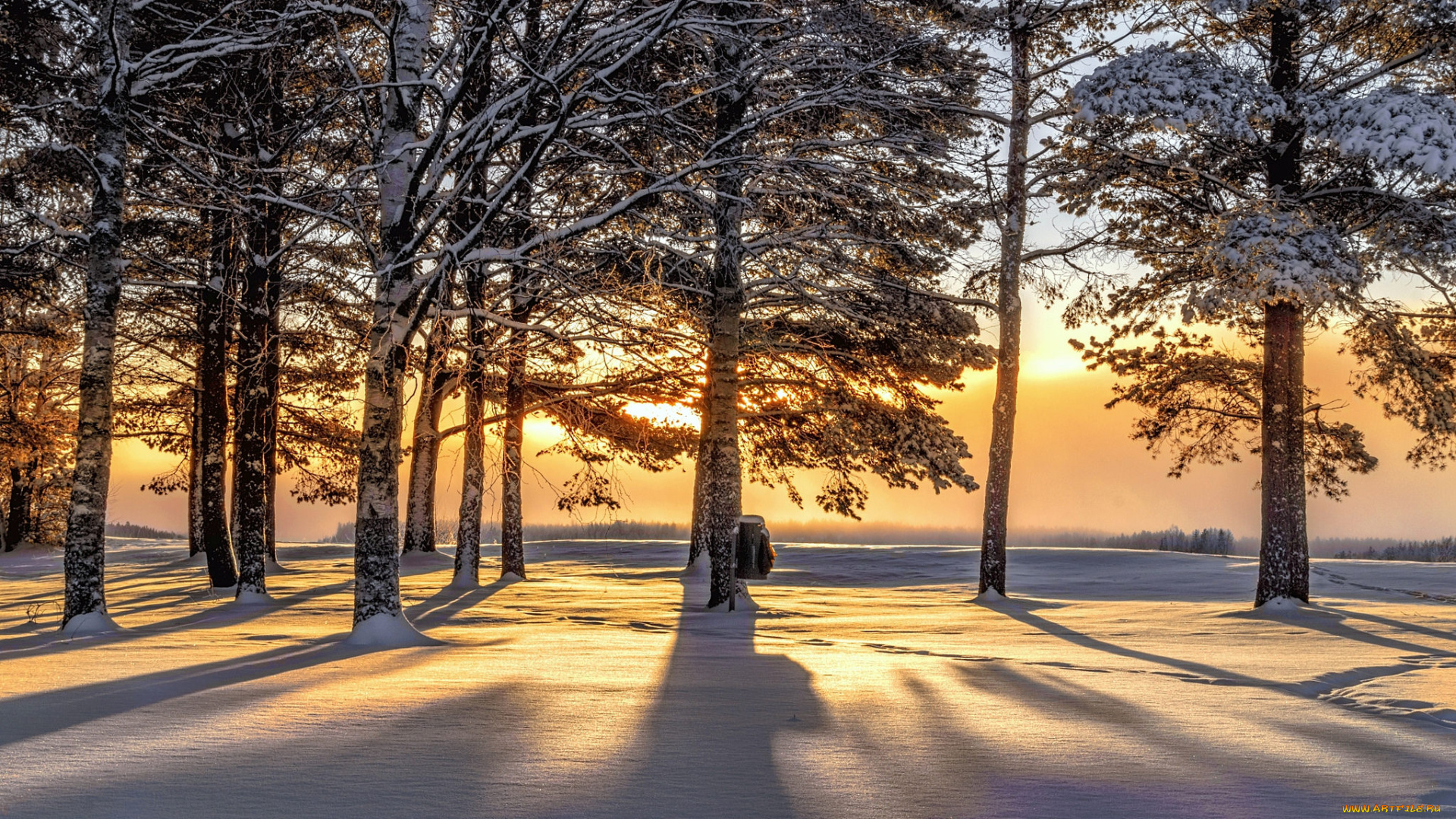 природа, зима, снег