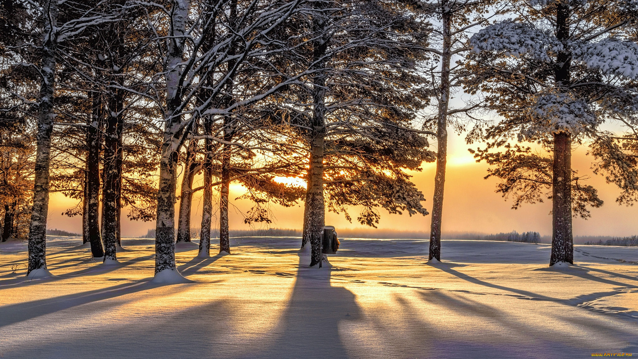 природа, зима, снег