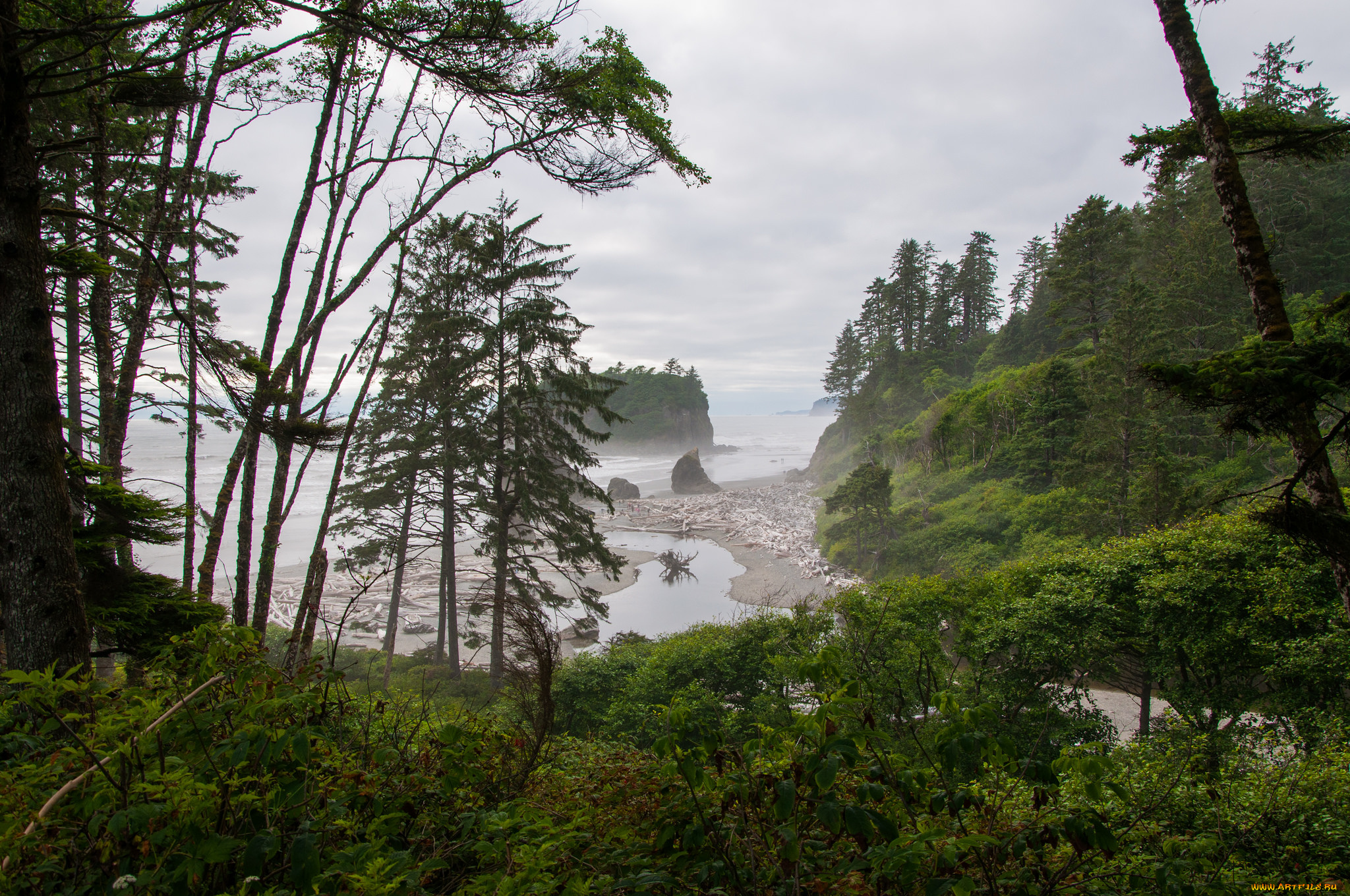 природа, побережье, море, берег