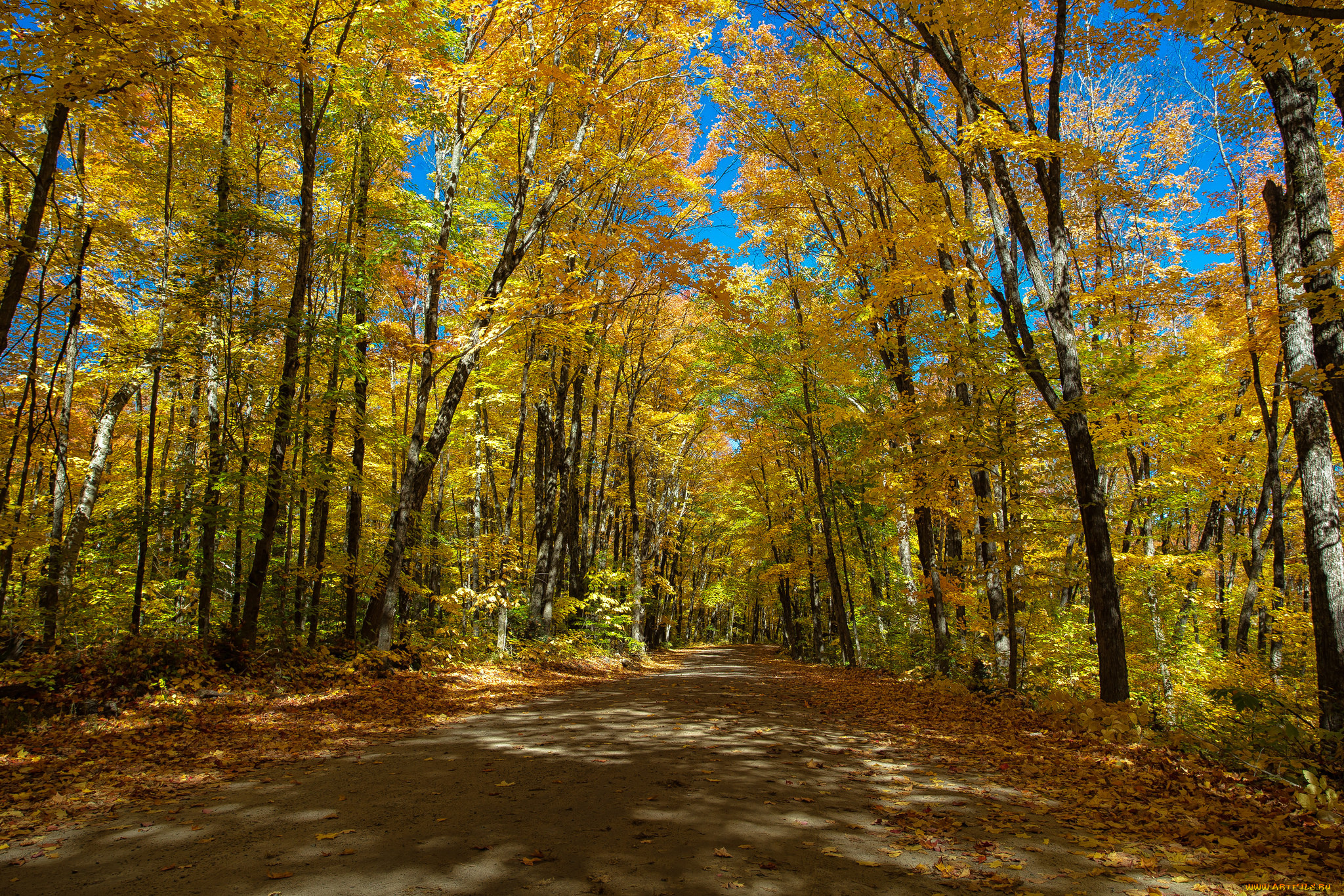 природа, дороги, тракт