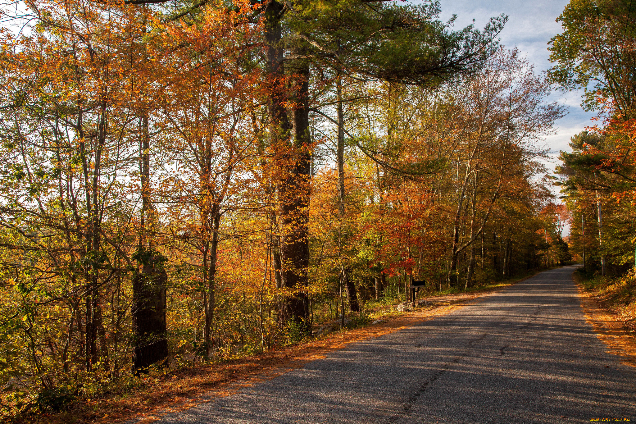 природа, дороги, тракт