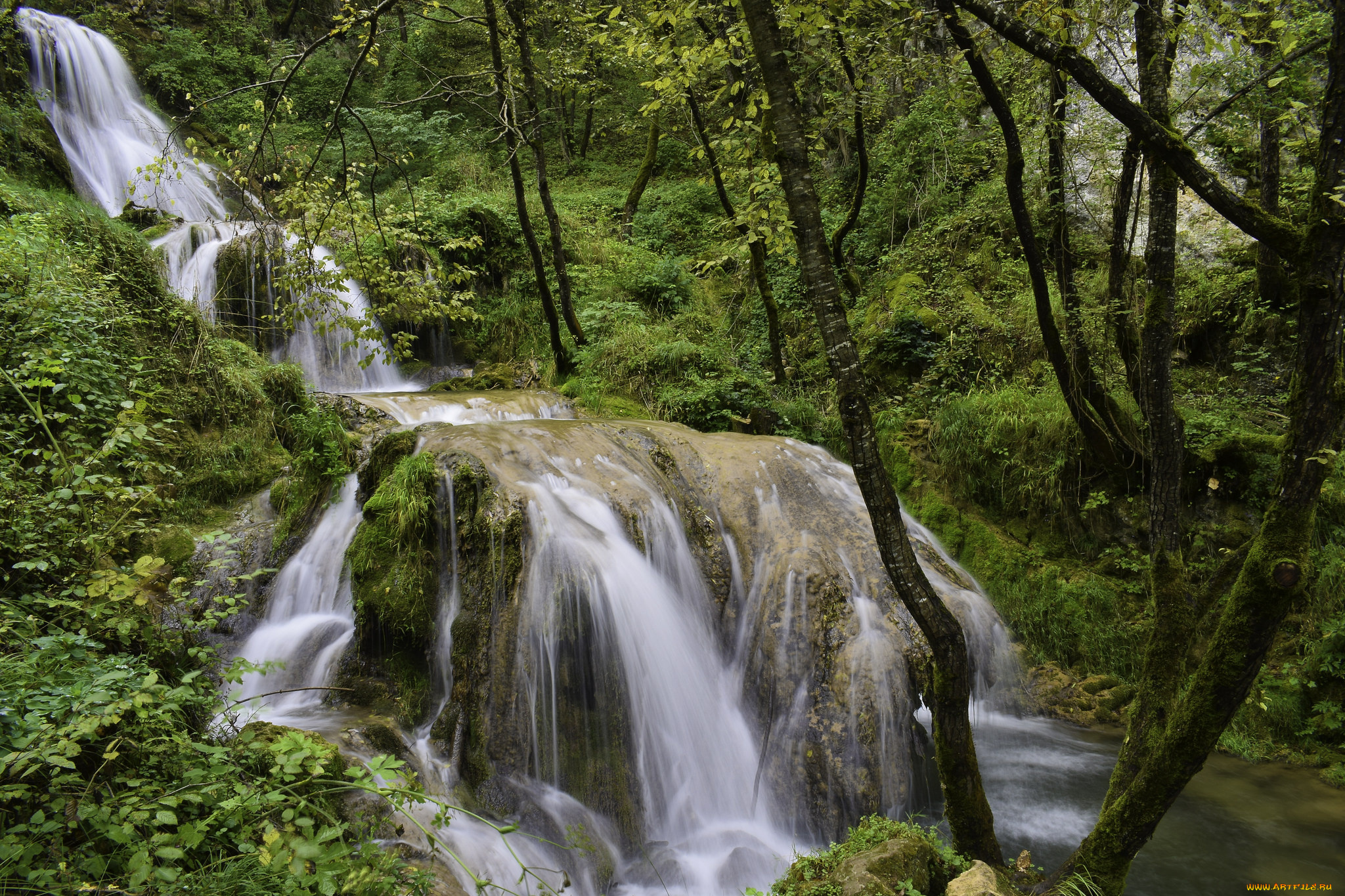 природа, водопады, водопад, лес, река
