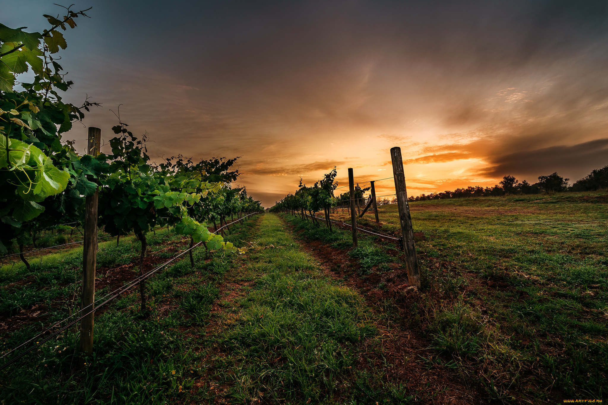 природа, восходы, закаты, рассвет