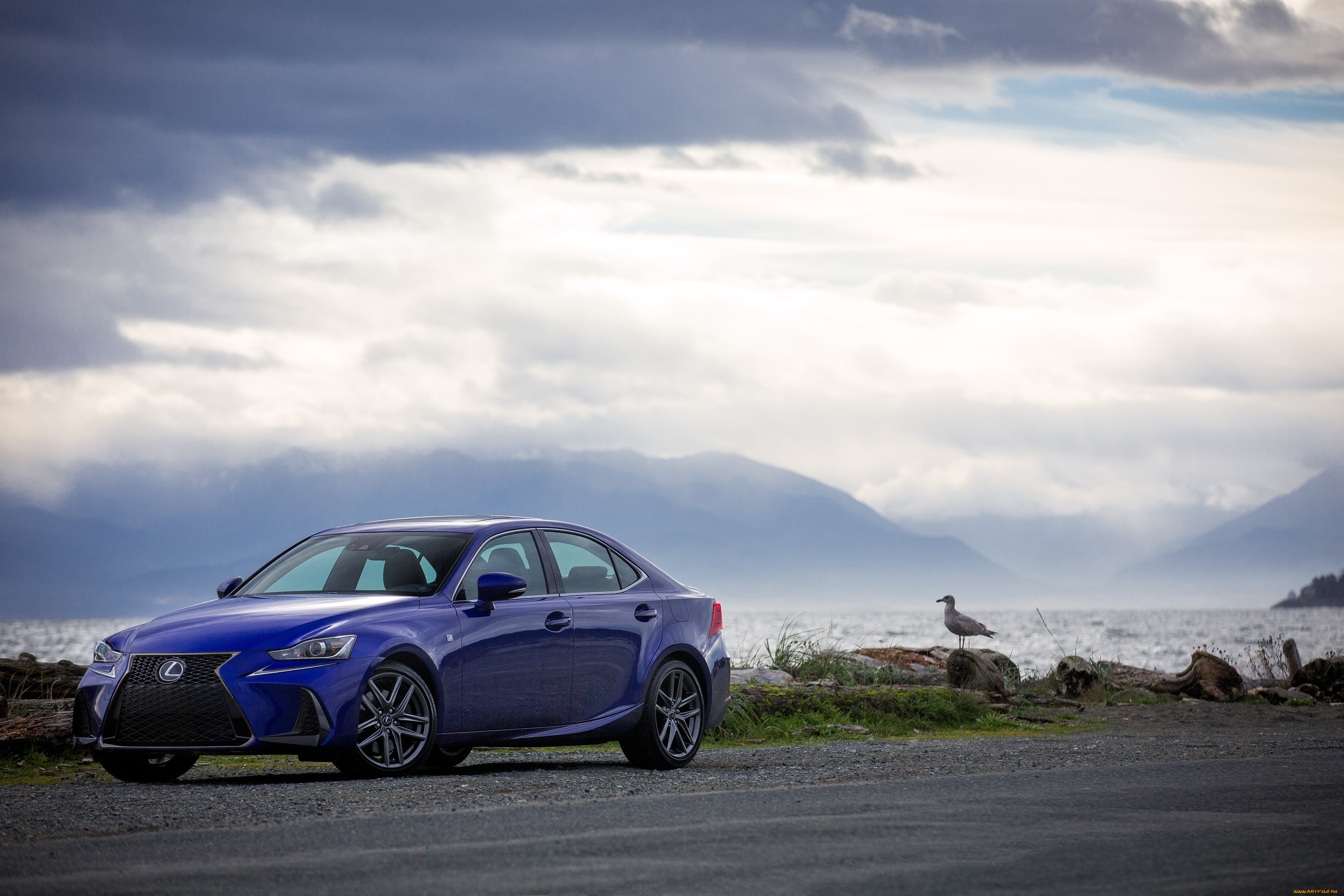 автомобили, lexus