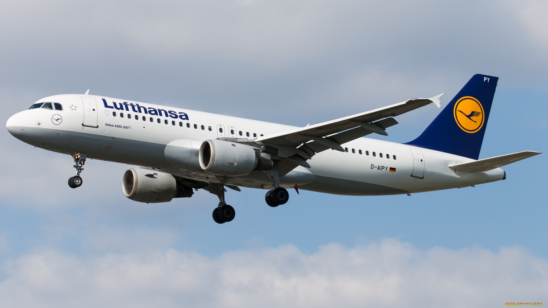 airbus, a320, авиация, пассажирские, самолёты, авиалайнер