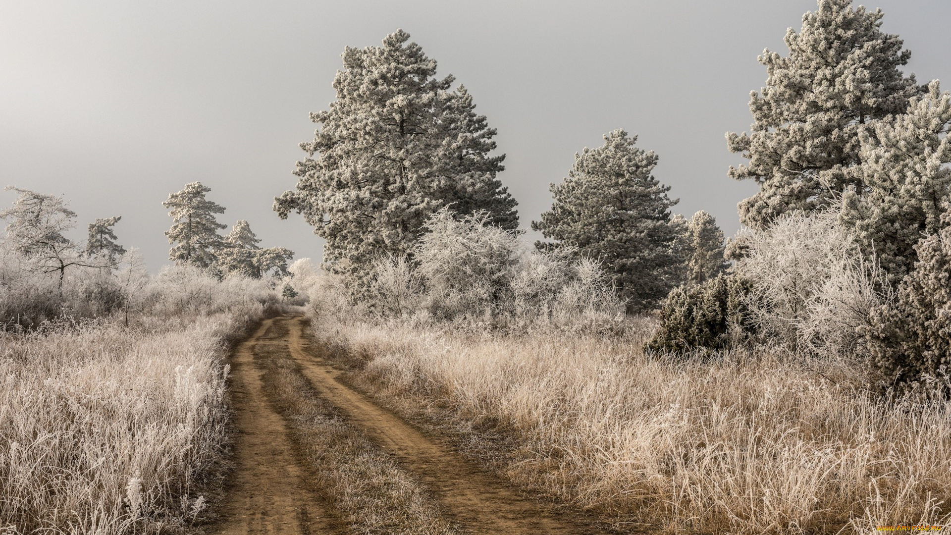 природа, дороги, простор