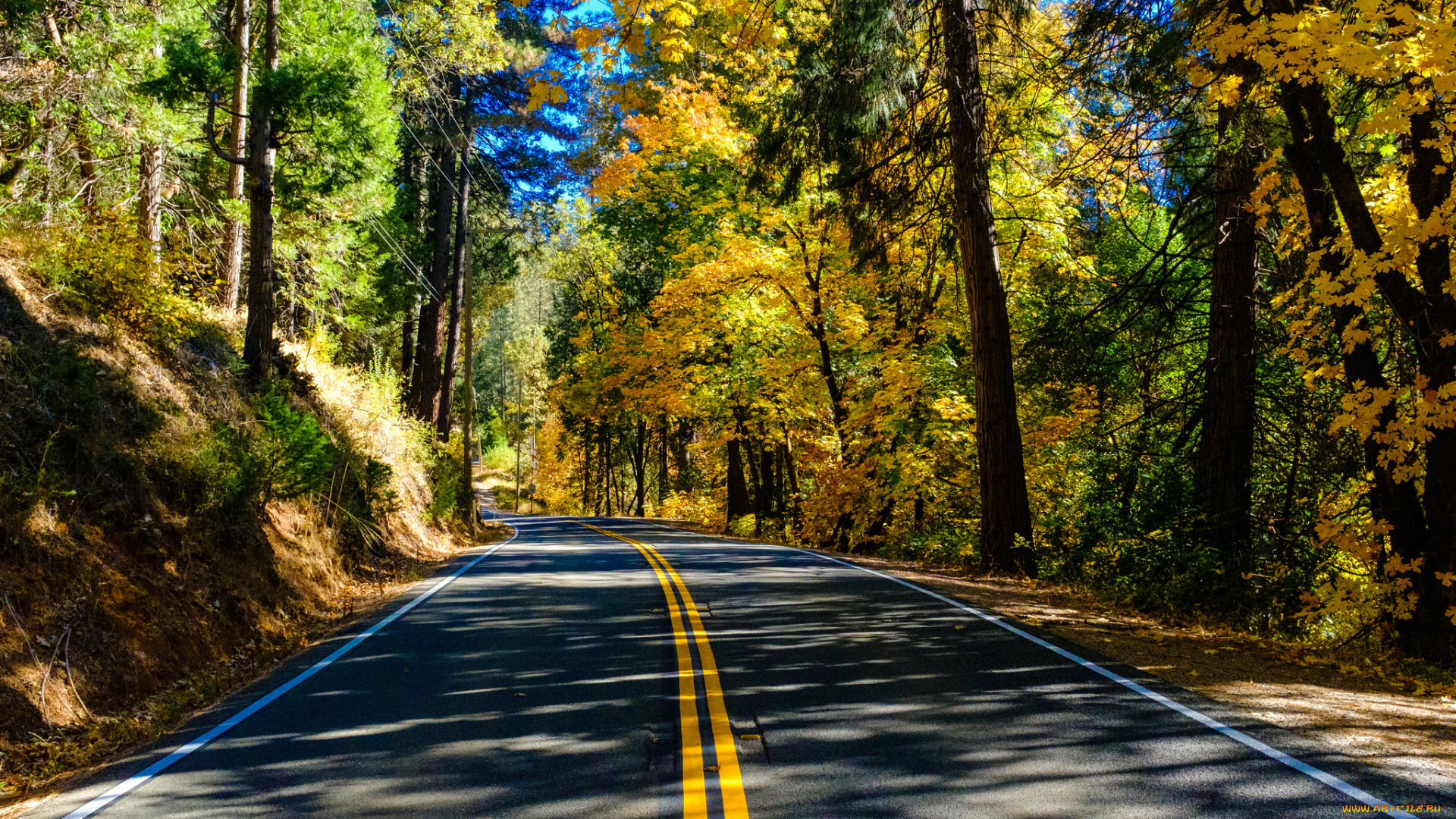 природа, дороги, простор