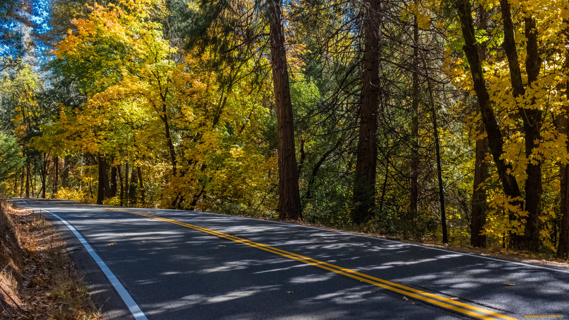 природа, дороги, простор