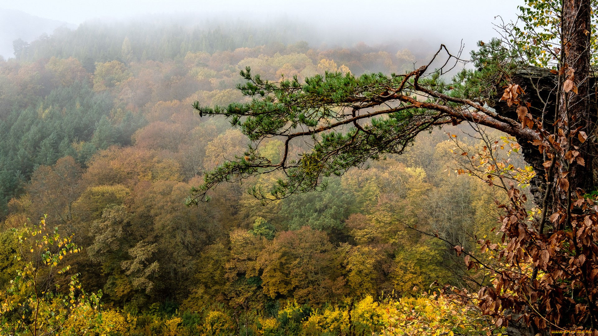 природа, пейзажи, простор