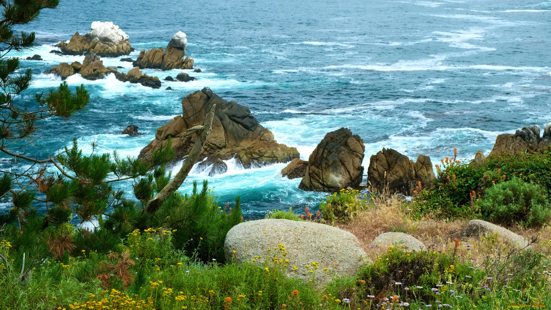 природа, побережье, простор