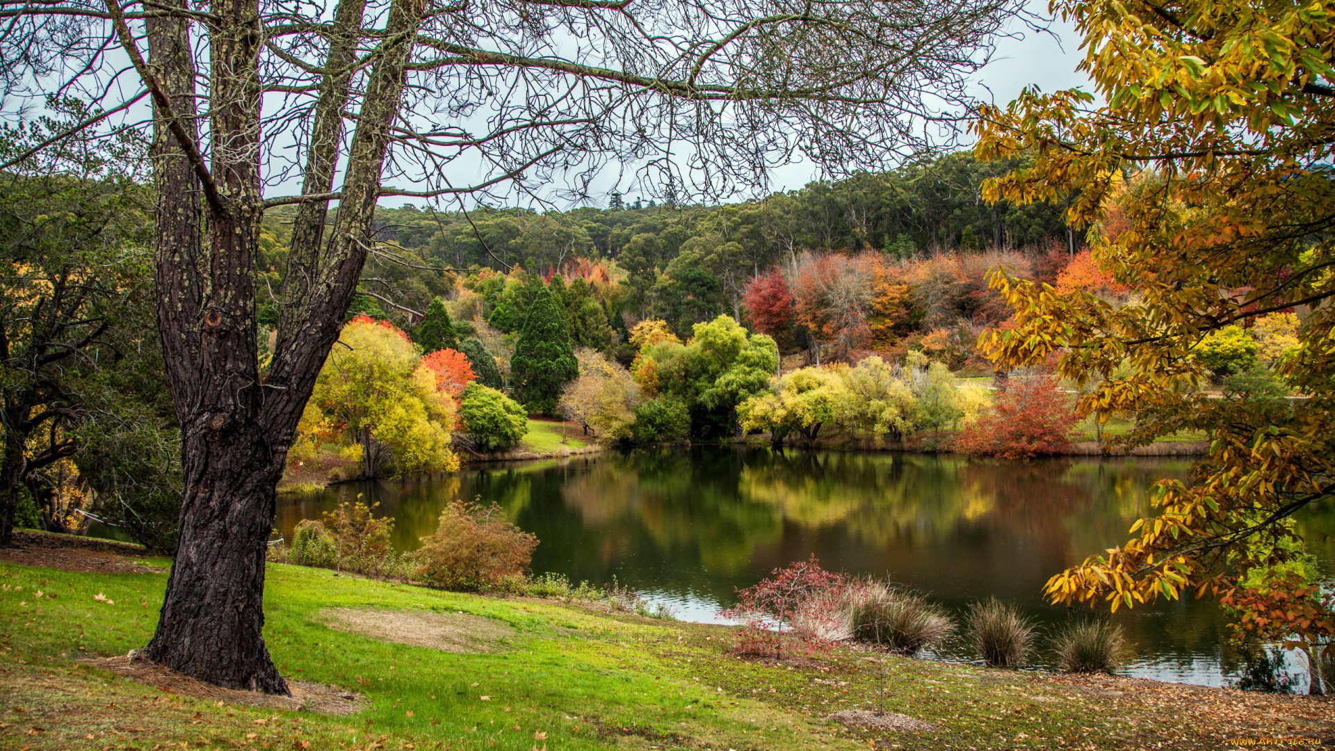 природа, реки, озера, осень, река, отражение