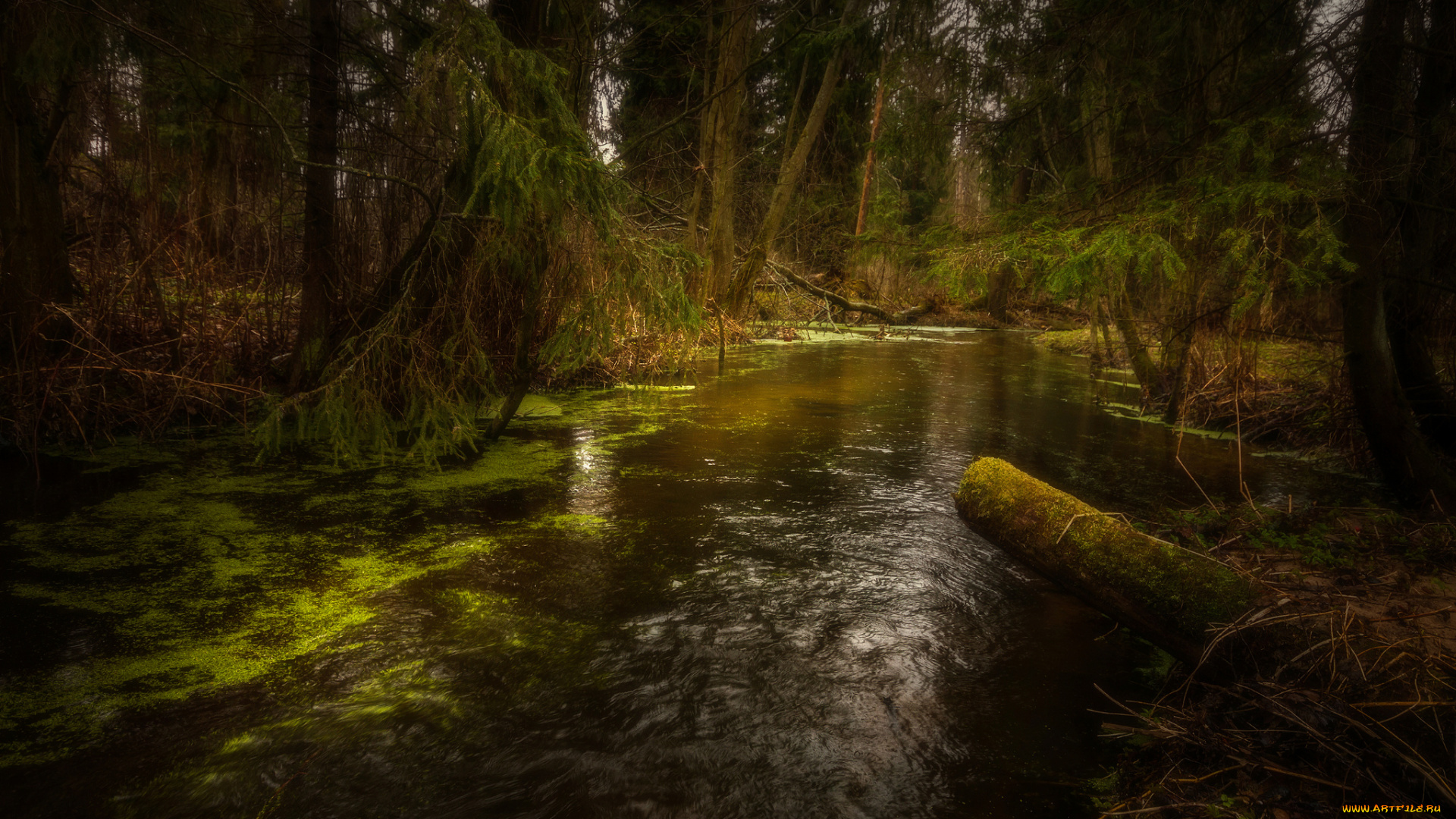 природа, реки, озера, простор