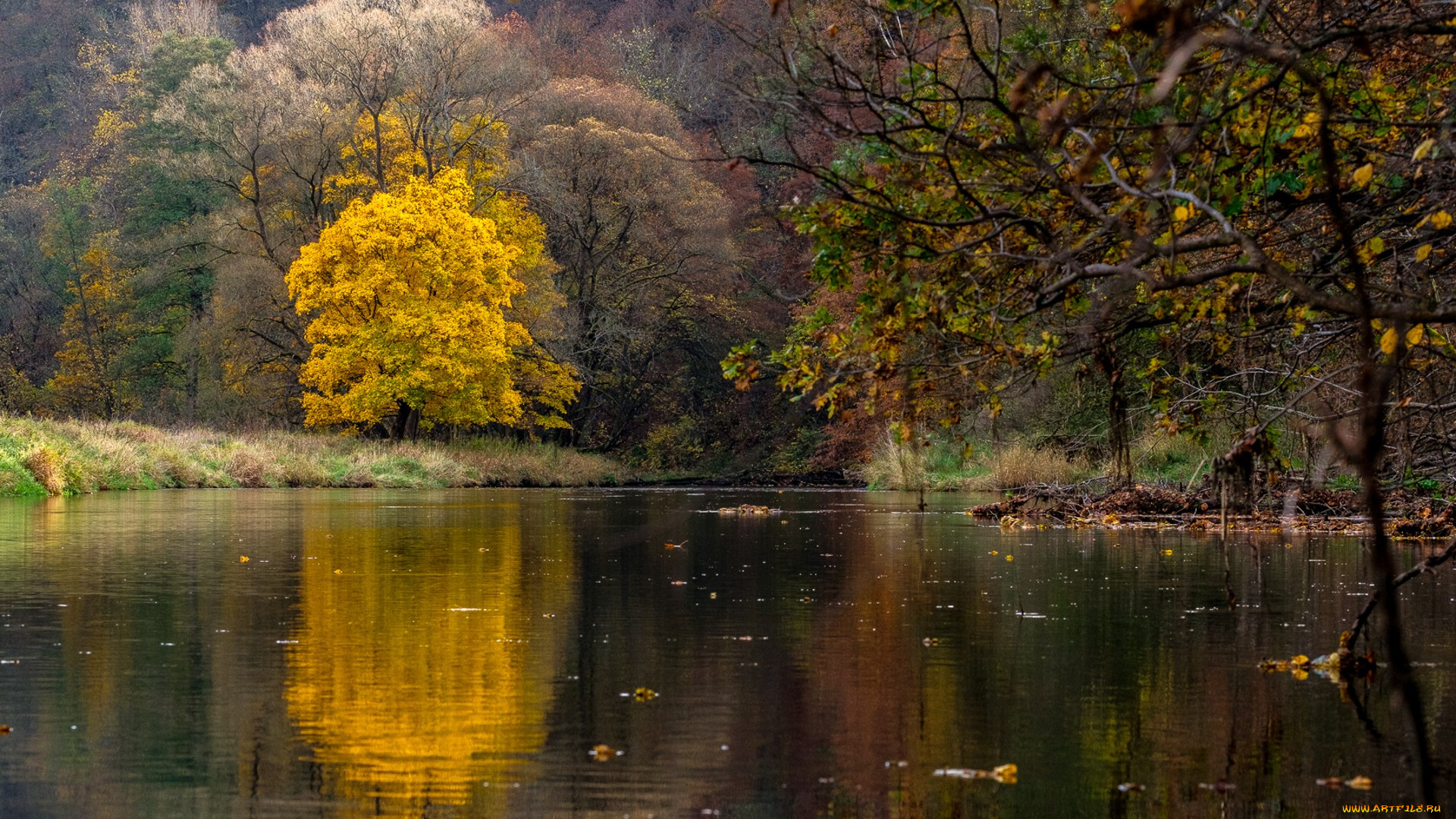 природа, реки, озера, простор