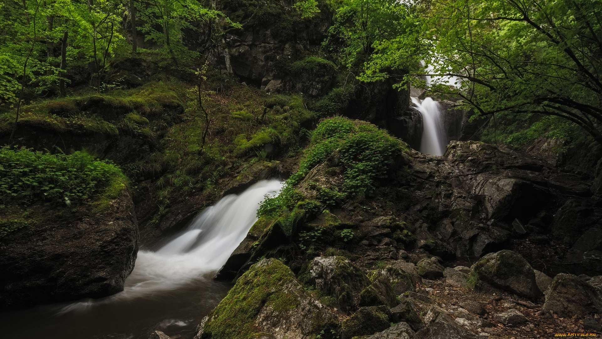 природа, реки, озера, простор