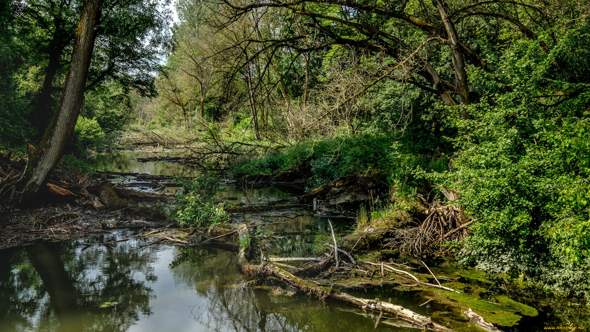 природа, реки, озера, простор