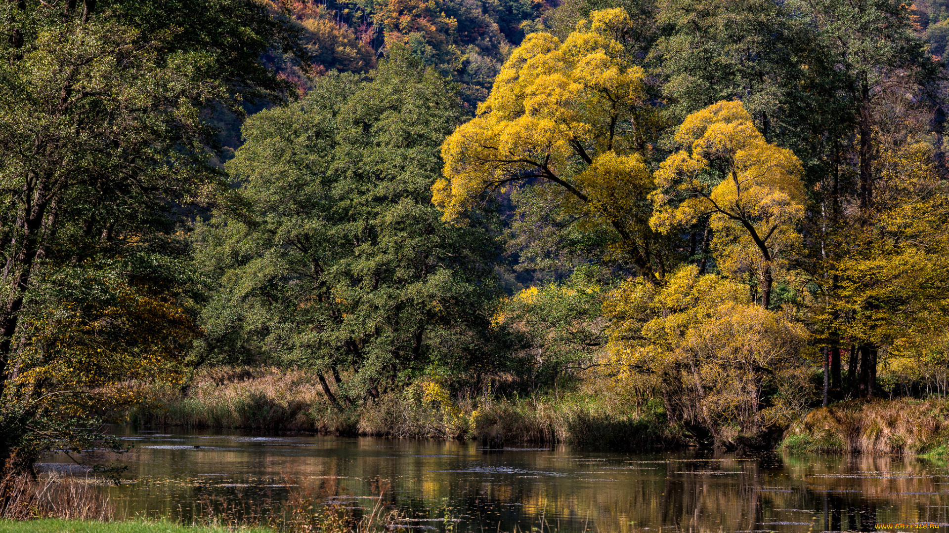 природа, реки, озера, простор