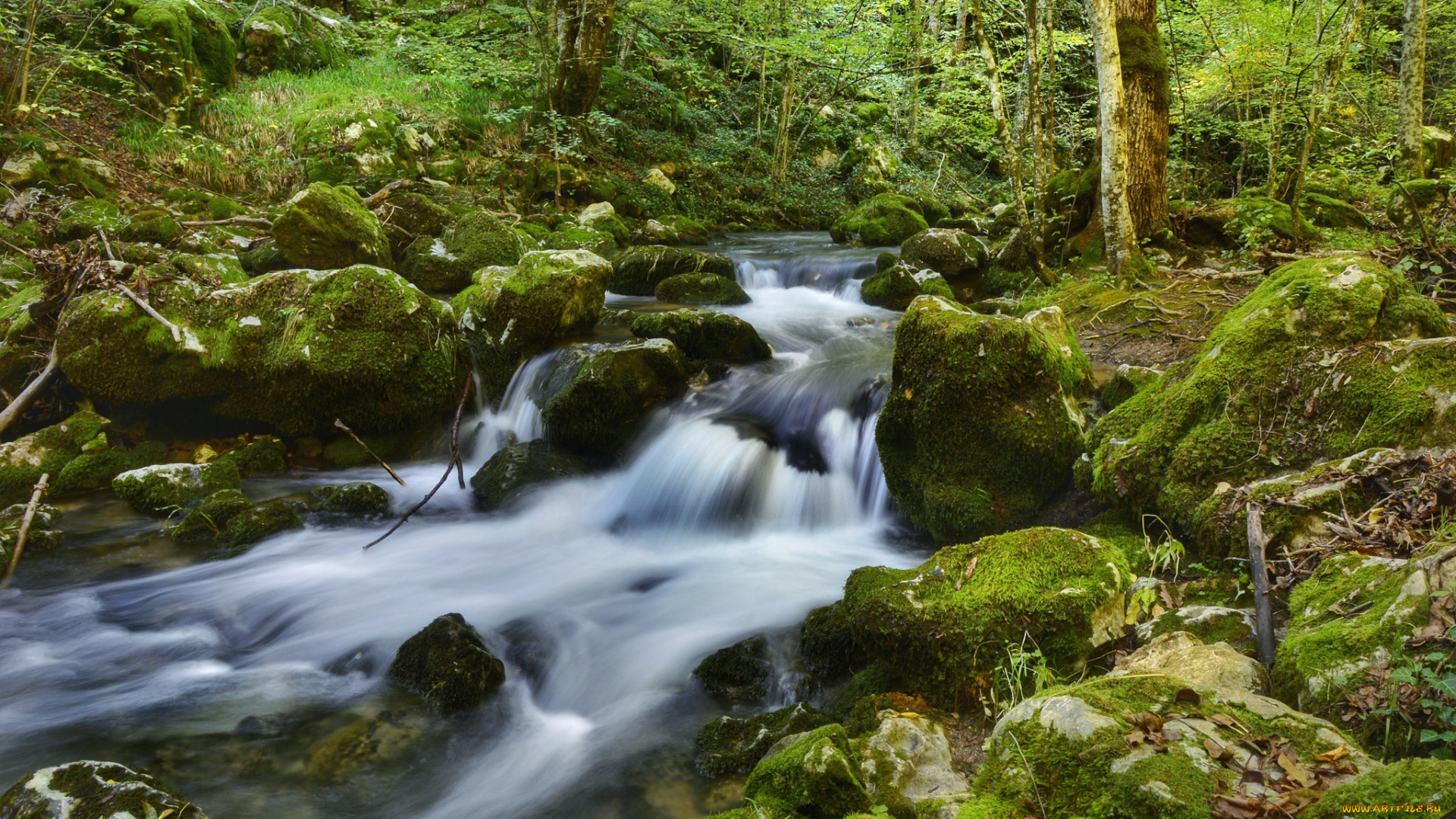 природа, реки, озера, простор