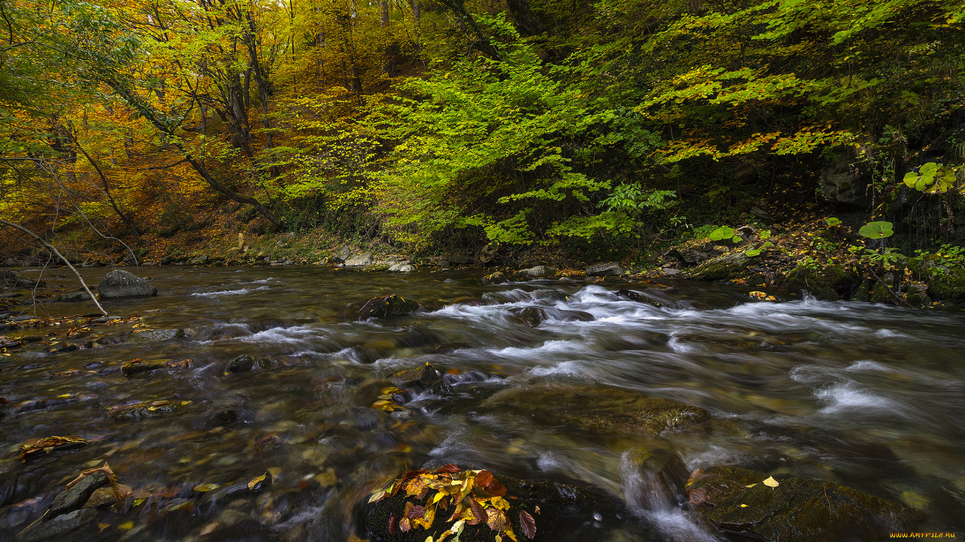 природа, реки, озера, простор