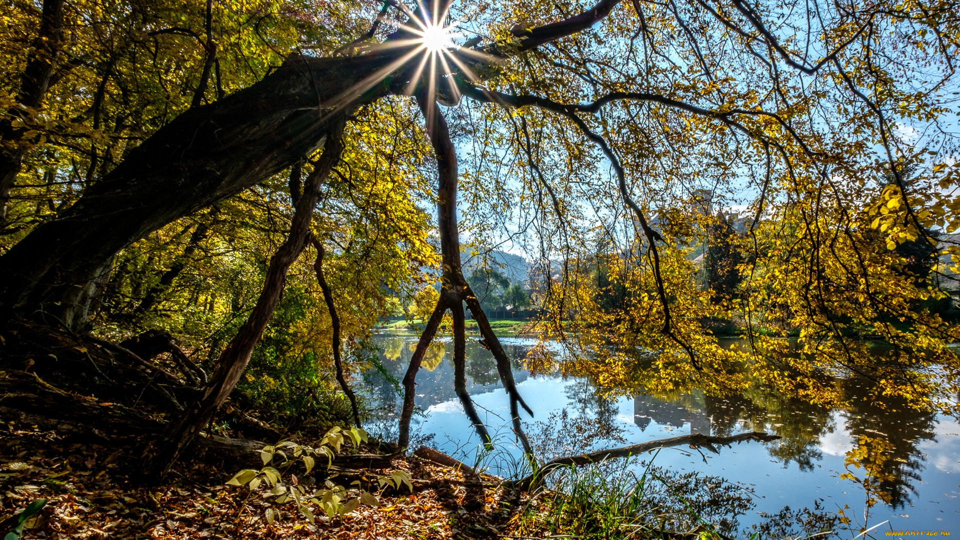 природа, реки, озера, простор