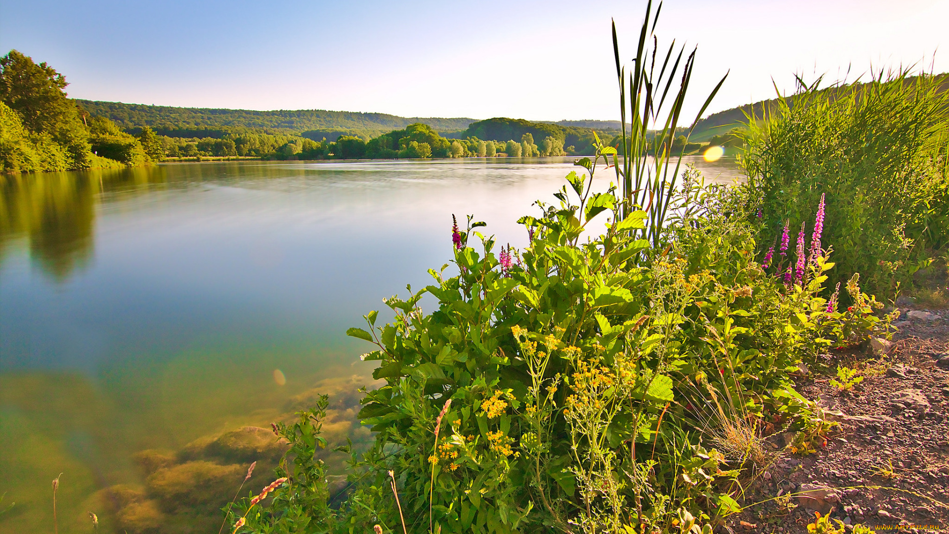 природа, реки, озера, простор