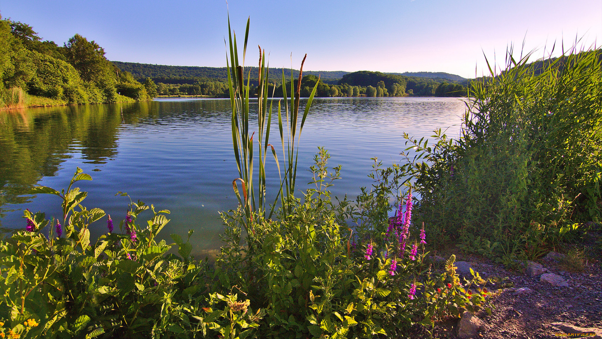 природа, реки, озера, простор